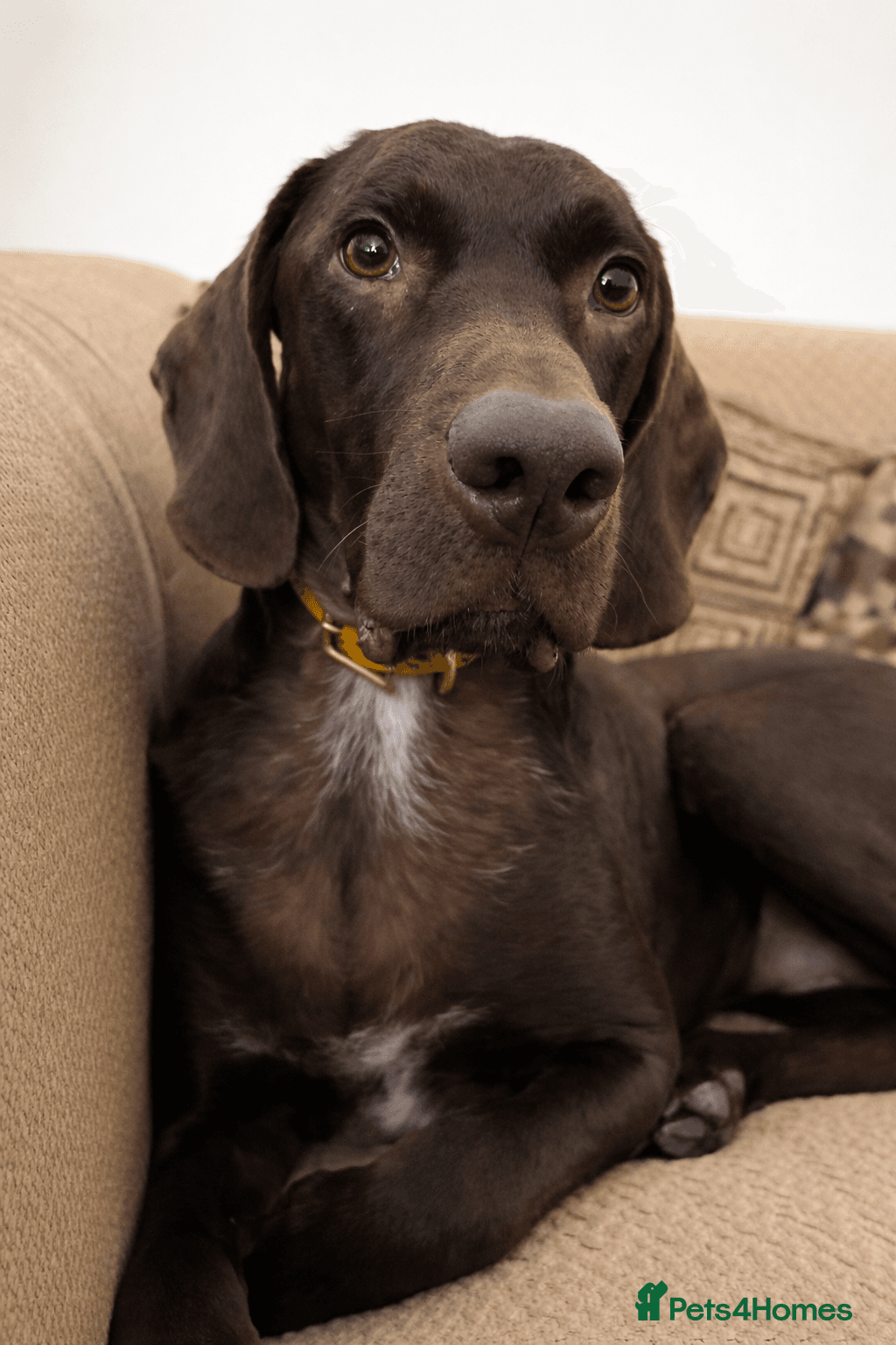 ️ meet wilson photo 17