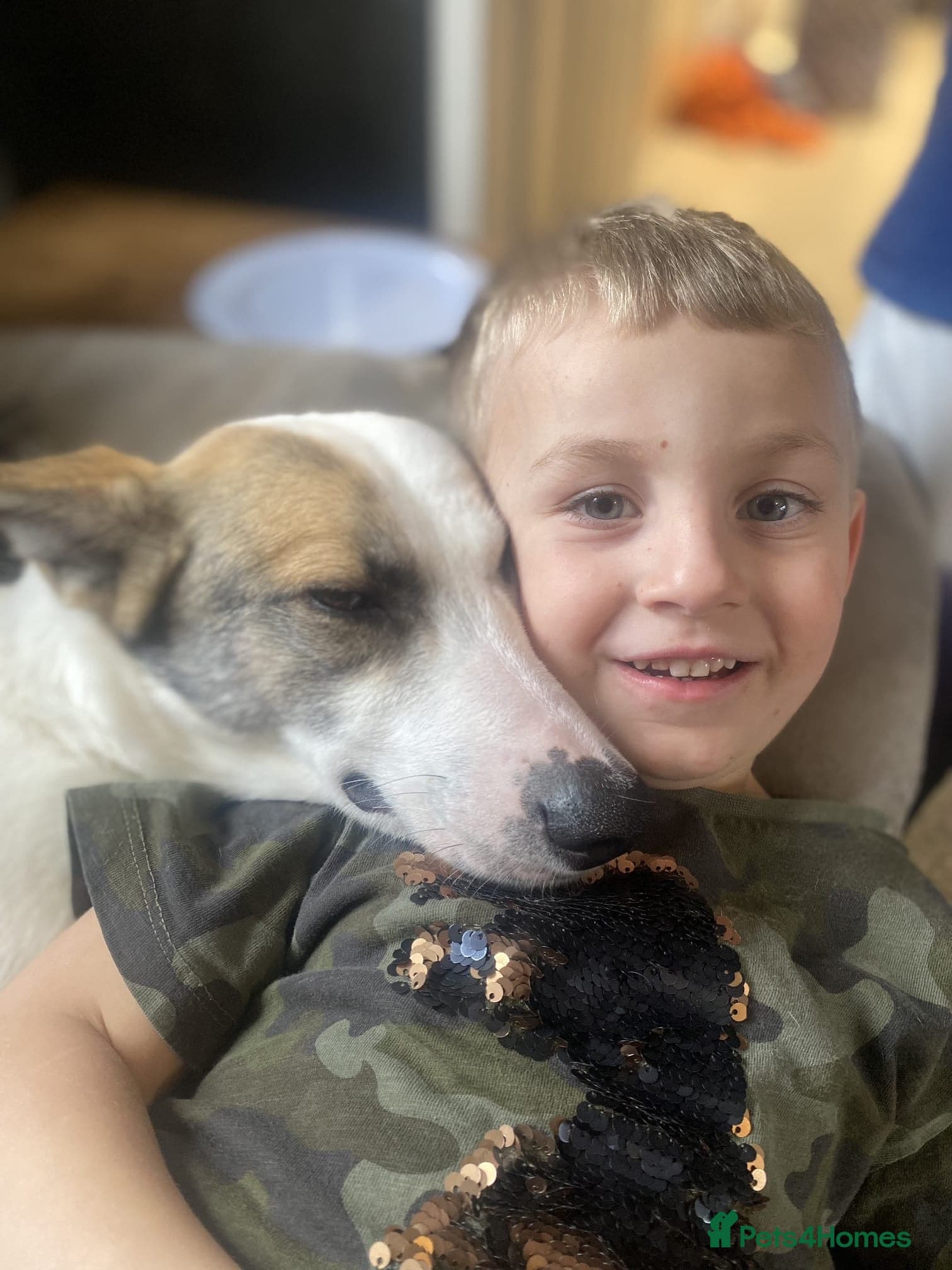 οΈπΆ bela photo 12