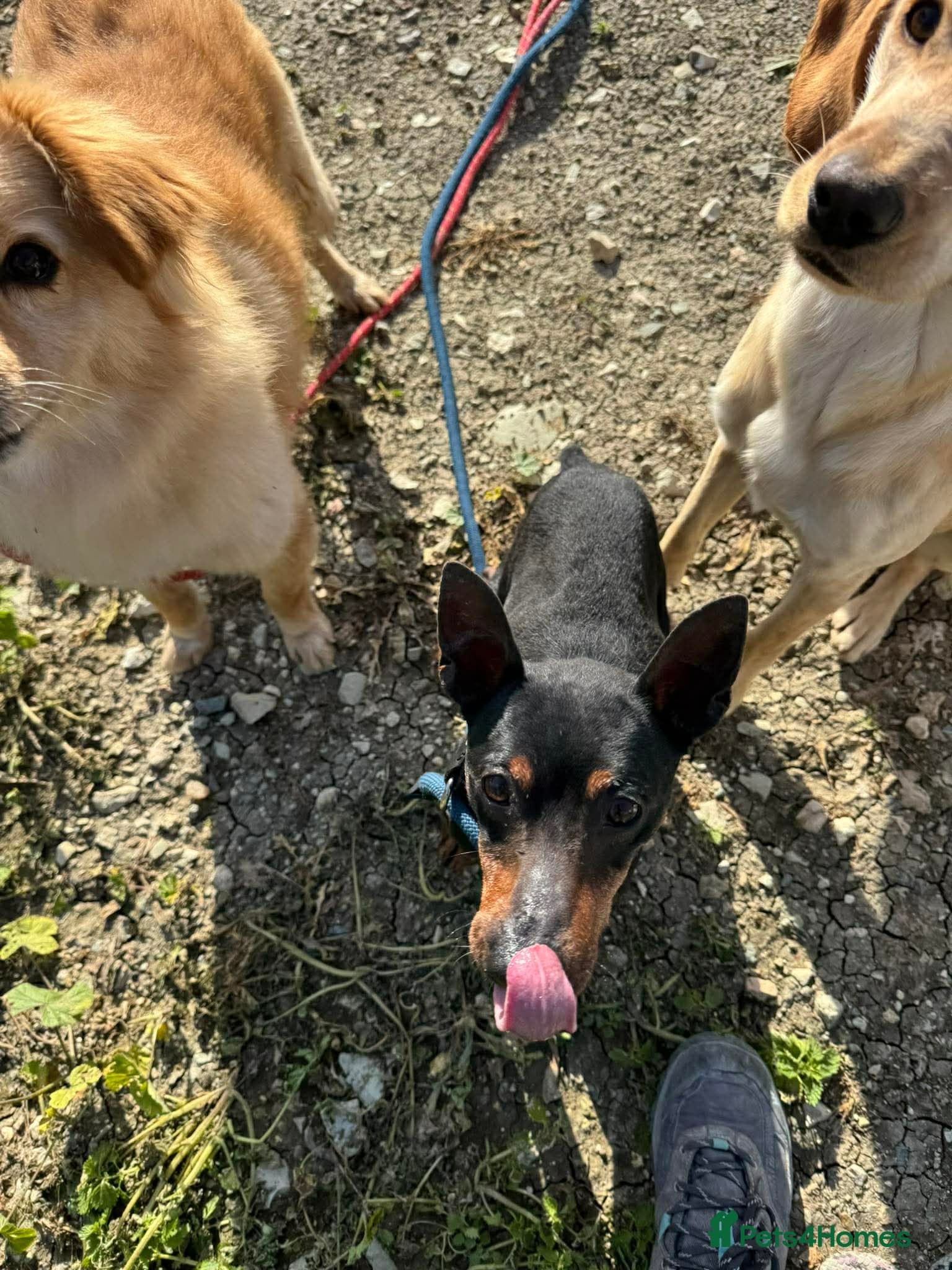 Benetton, a cuddlebug photo 11