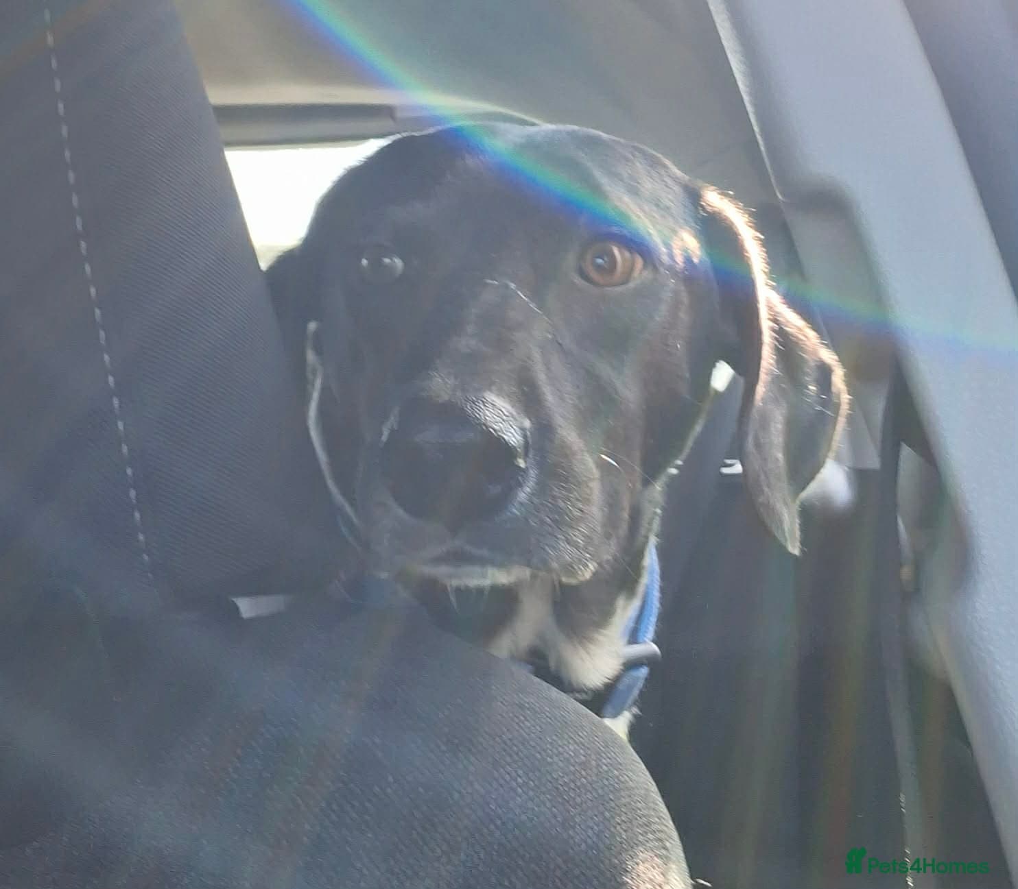 Stratos ! ❤️ a Cypriot sweetheart photo 8