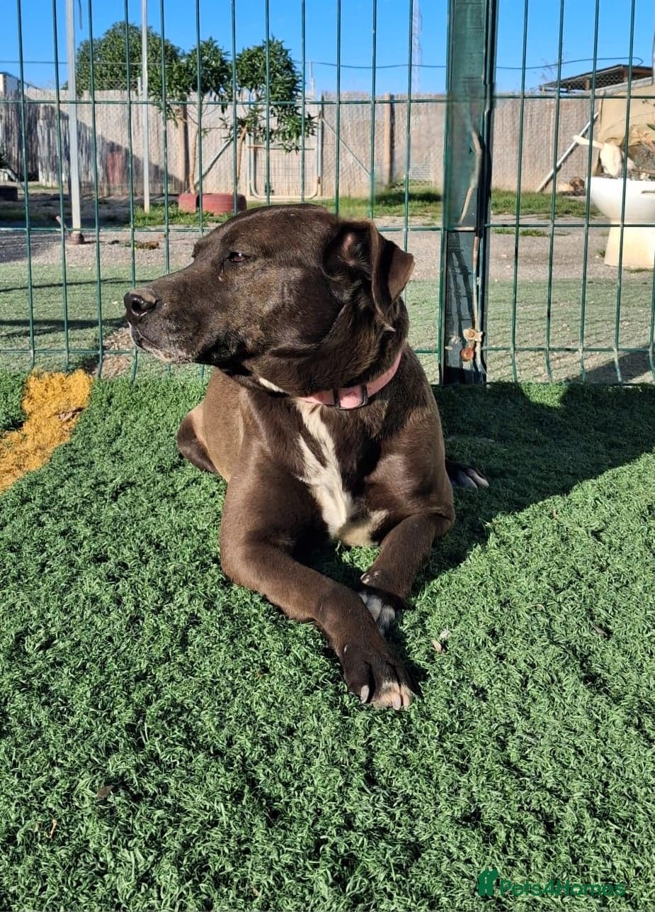 Sira🚨🐾 photo 8