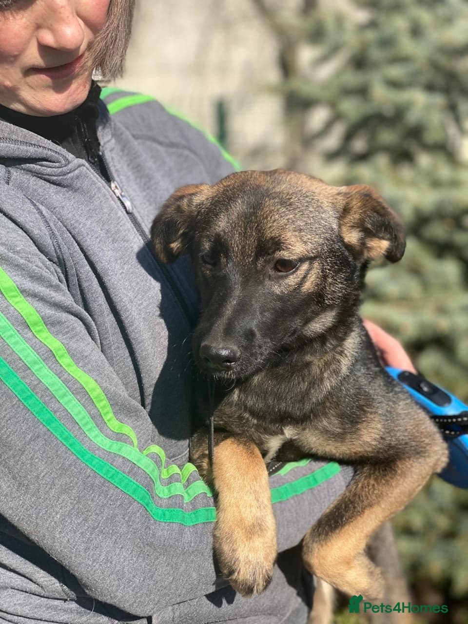 οΈπΆ kuba photo 18