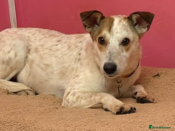 Trinity - Norwich Norfolk photo 10