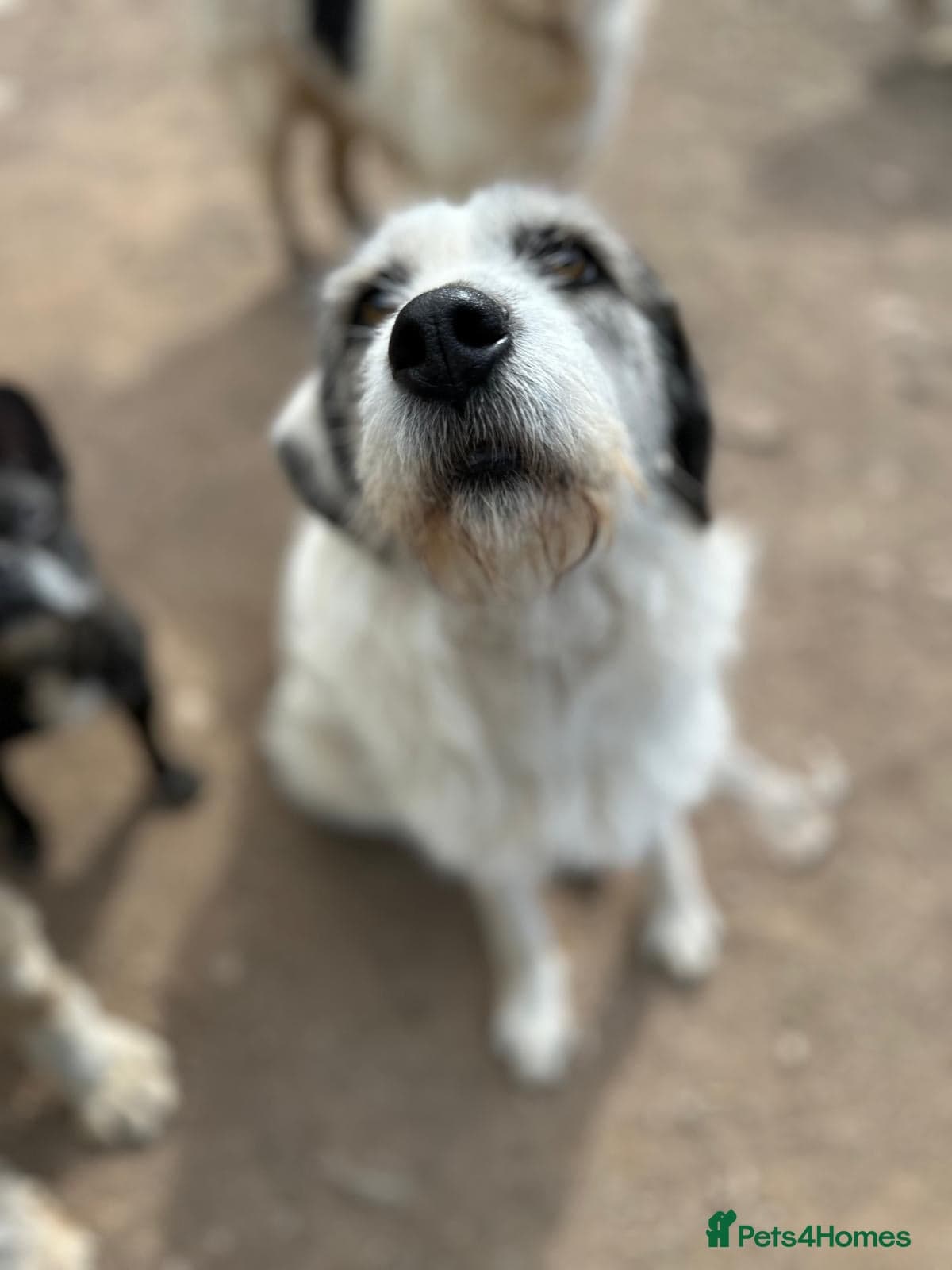 Bella π©· photo 3