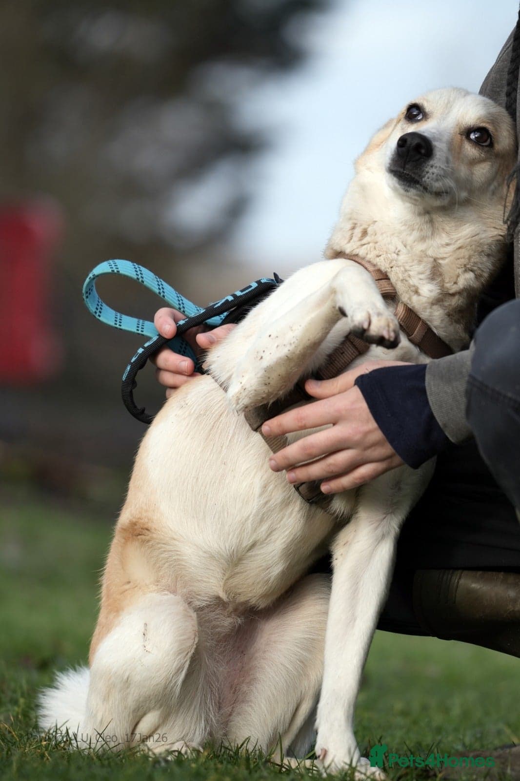 Egyptian girl Cleo photo 6