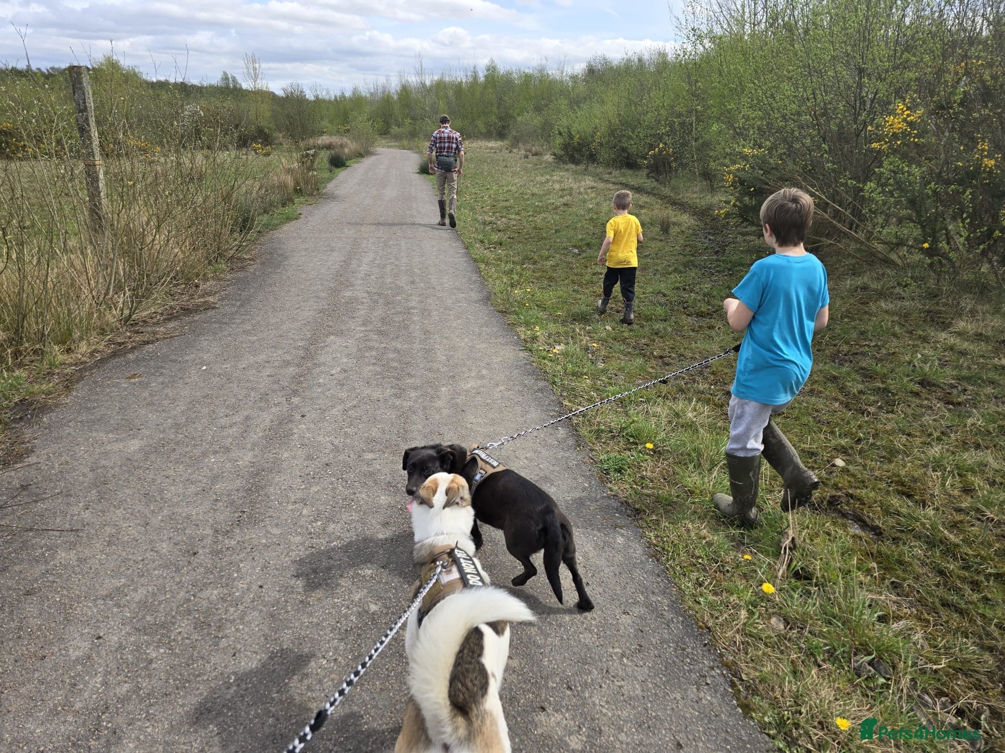 οΈπΆ bela photo 15