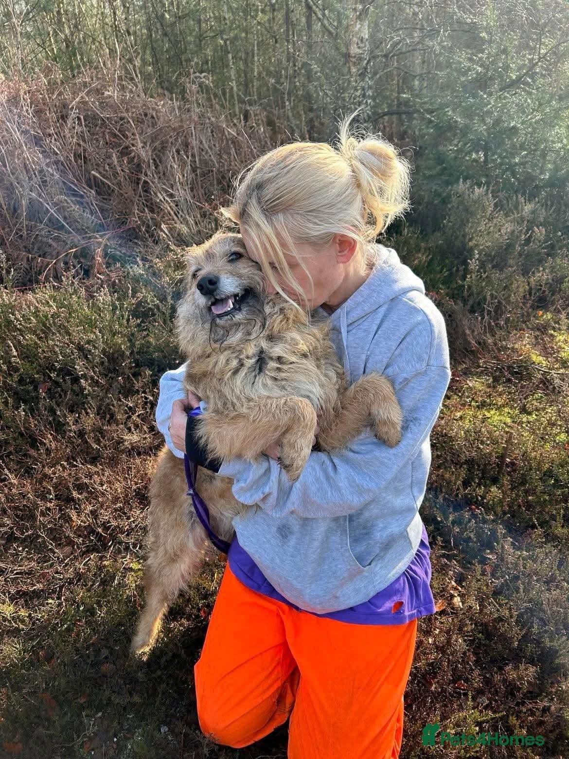 Jack - Watton Norfolk photo 20