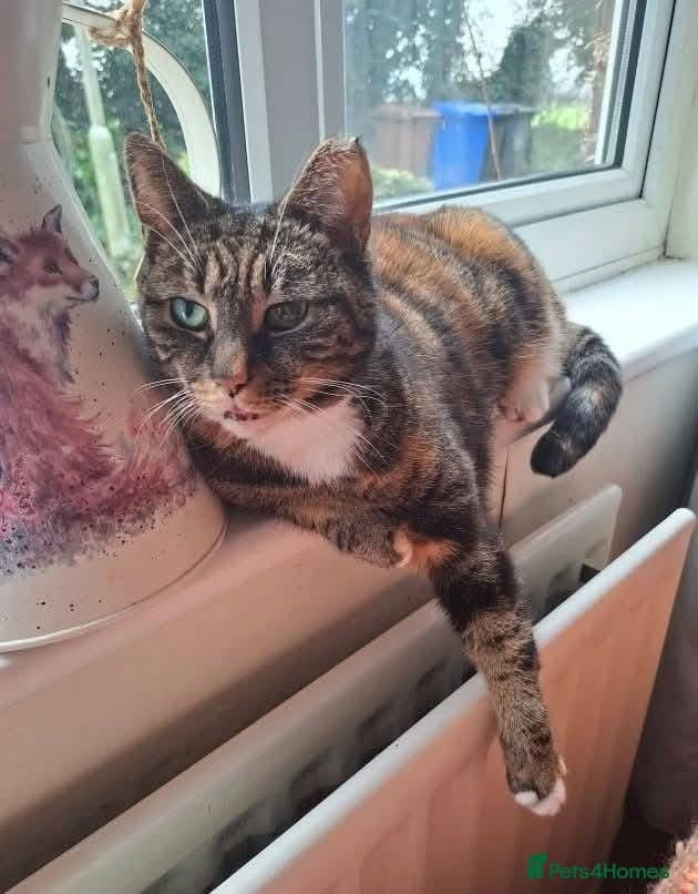 οΈπ± cleo photo 3