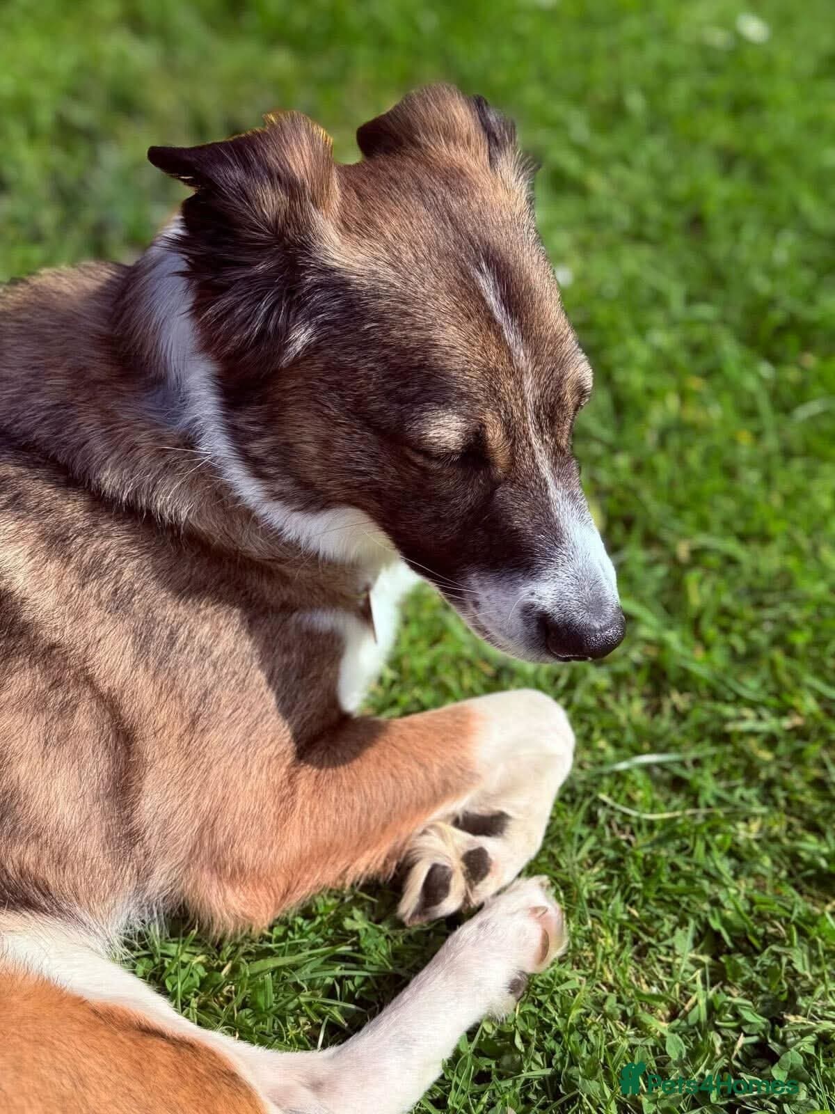 Meet Bella, currently residing in Merseyside photo 4