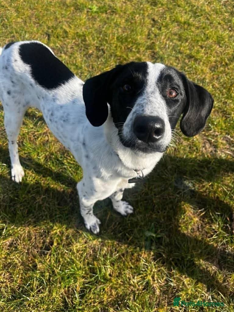 Meet Annabel, currently residing in Hertfordshire photo 7