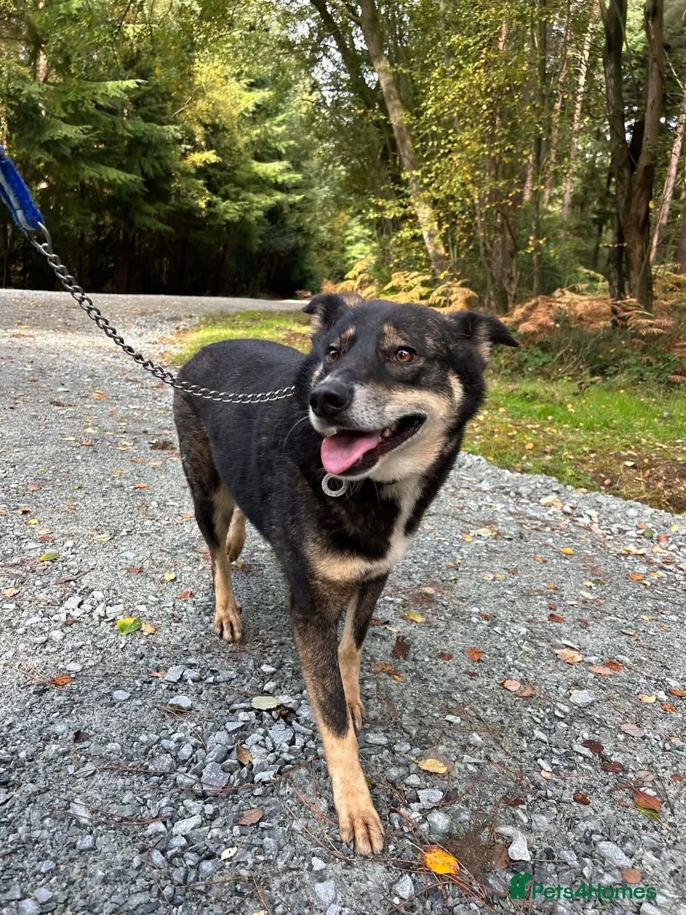 Ben - Norwich Norfolk photo 5