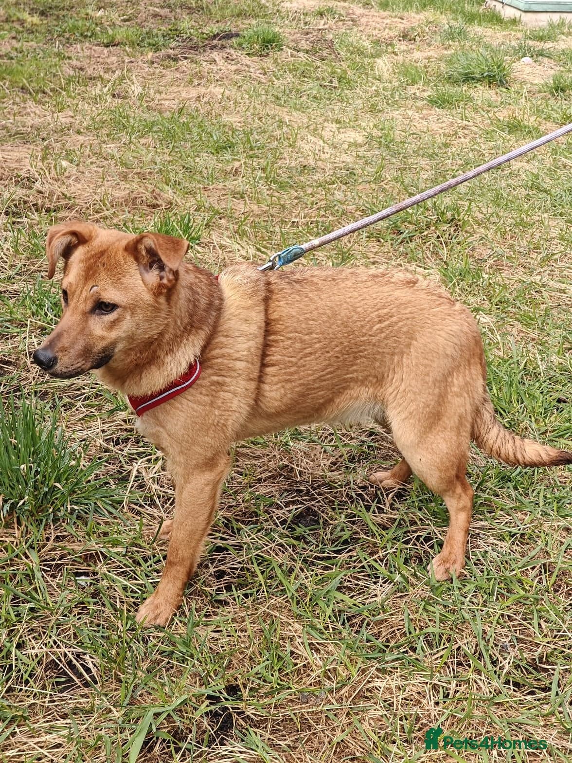 ๏ธ๐ถ yara photo 5