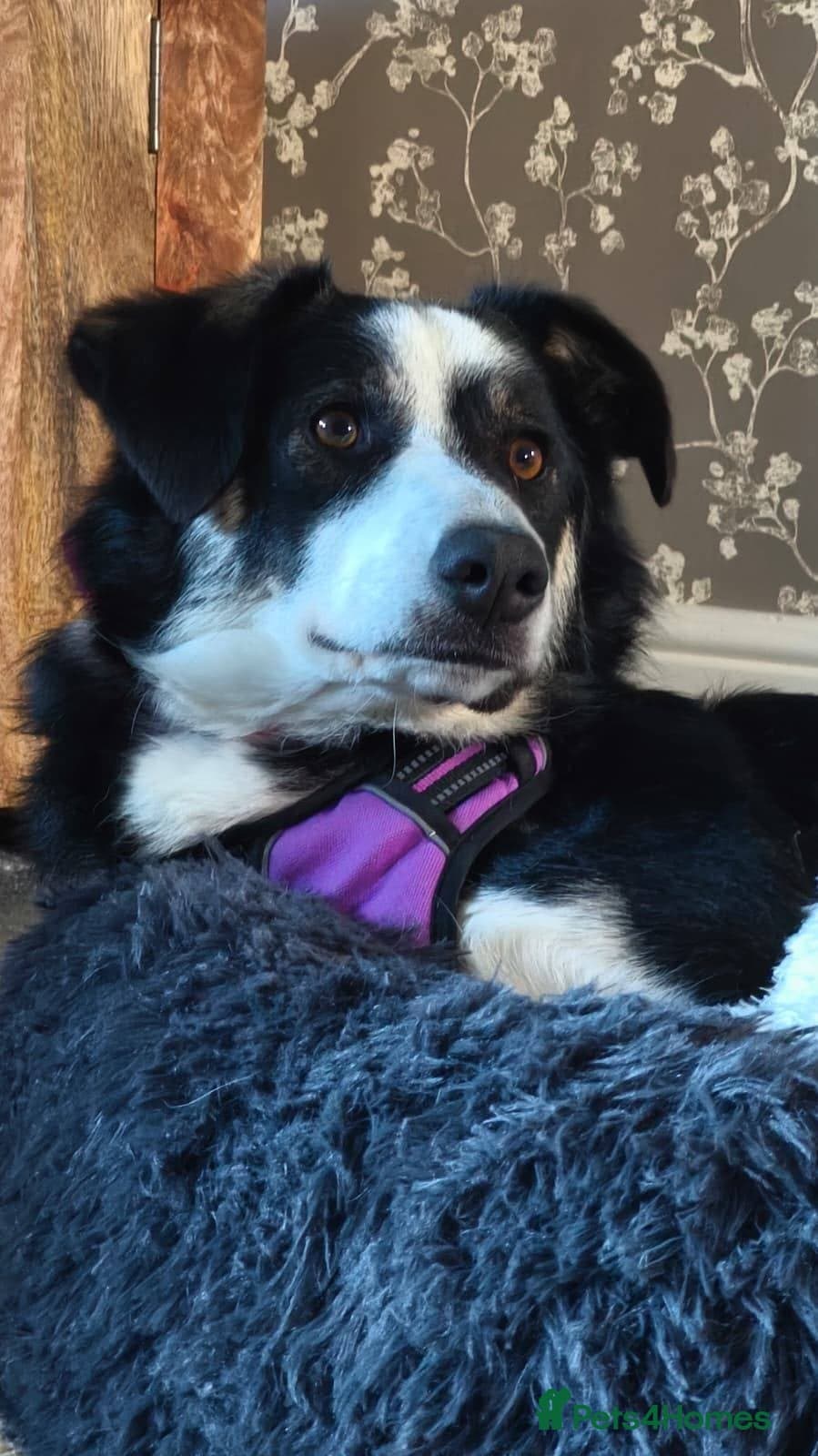 MAXπ Let Down But Still Loving photo 12