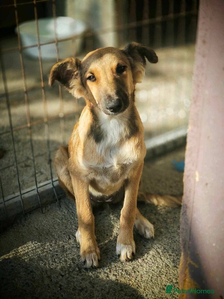 Coffee & robyn photo 11