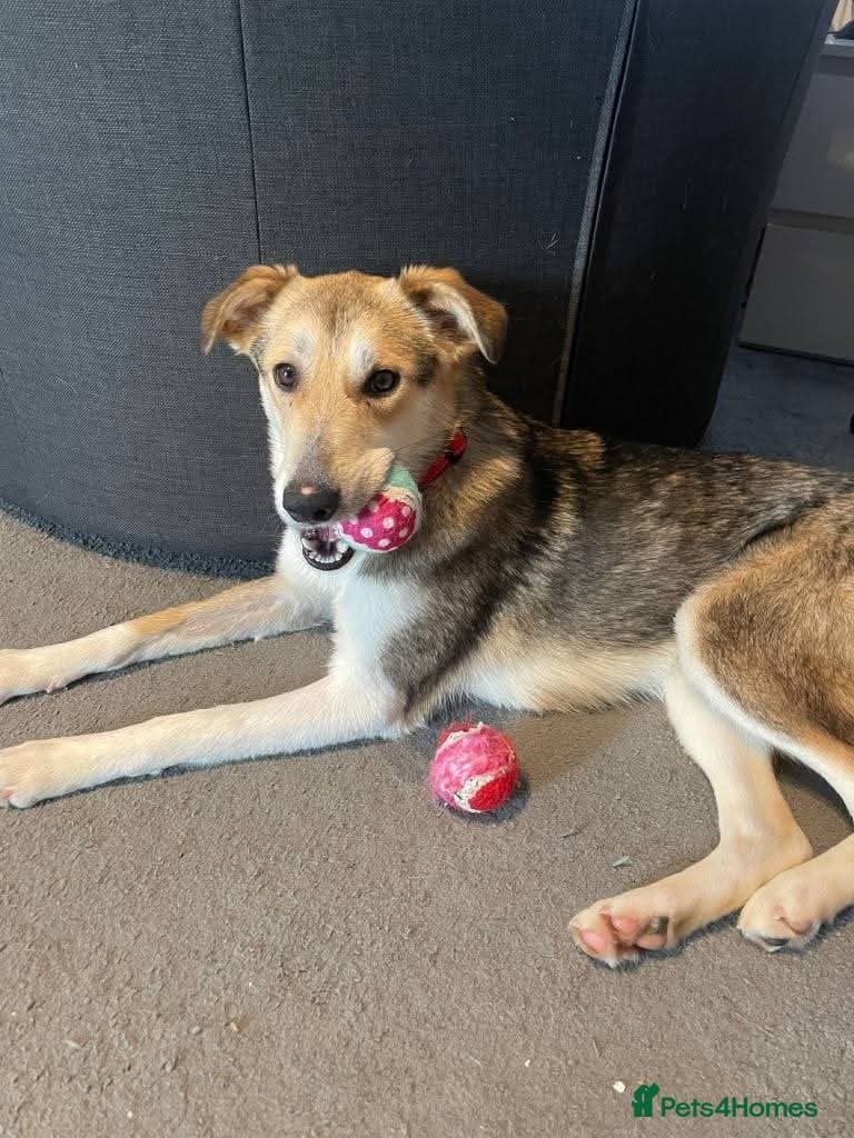 Meet Mary,currently residing in Canterbury photo 3