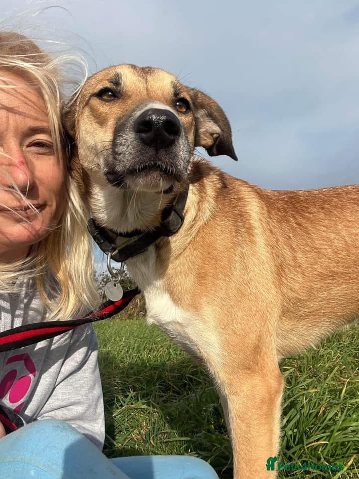 Sara - Norwich Norfolk photo 26