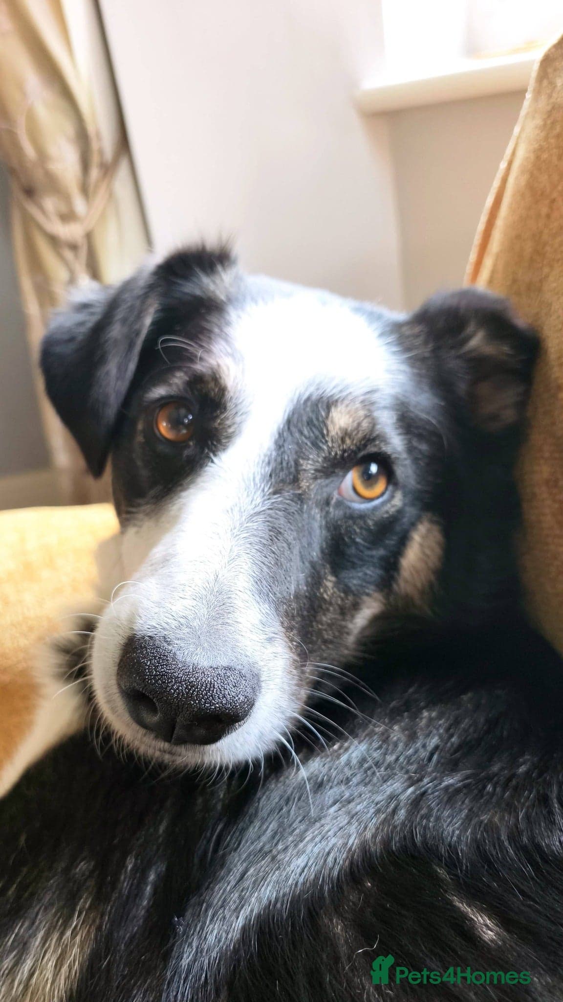 MAXπ Let Down But Still Loving photo 5