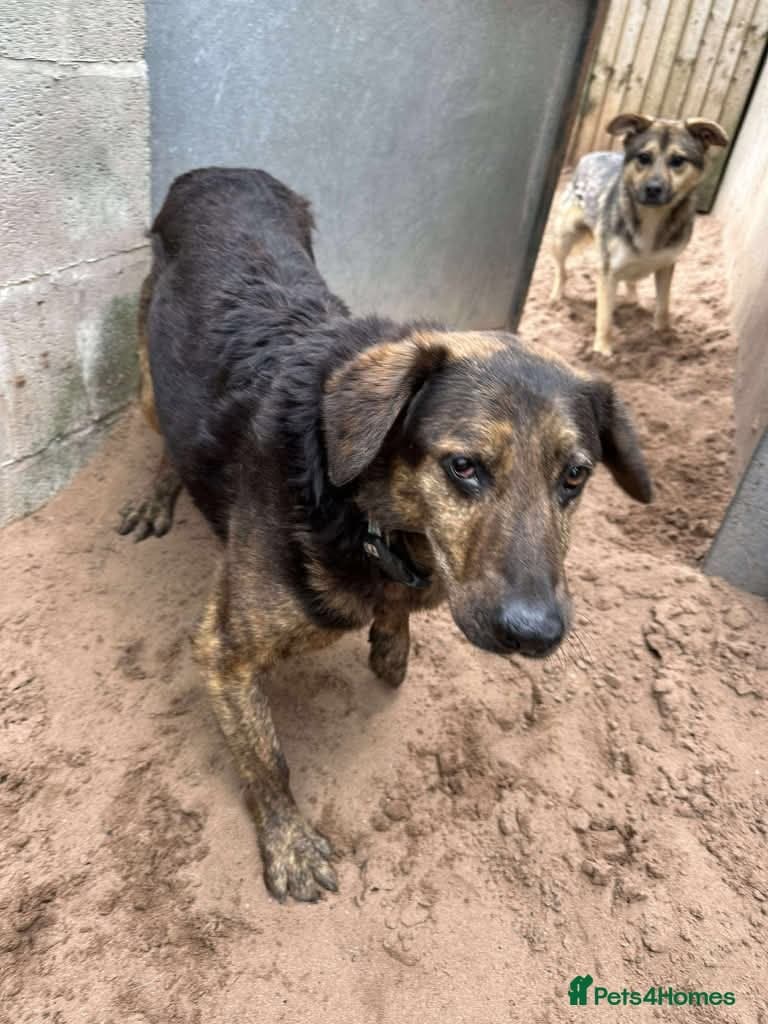 Meet Jess, currently residing in Essex photo 7