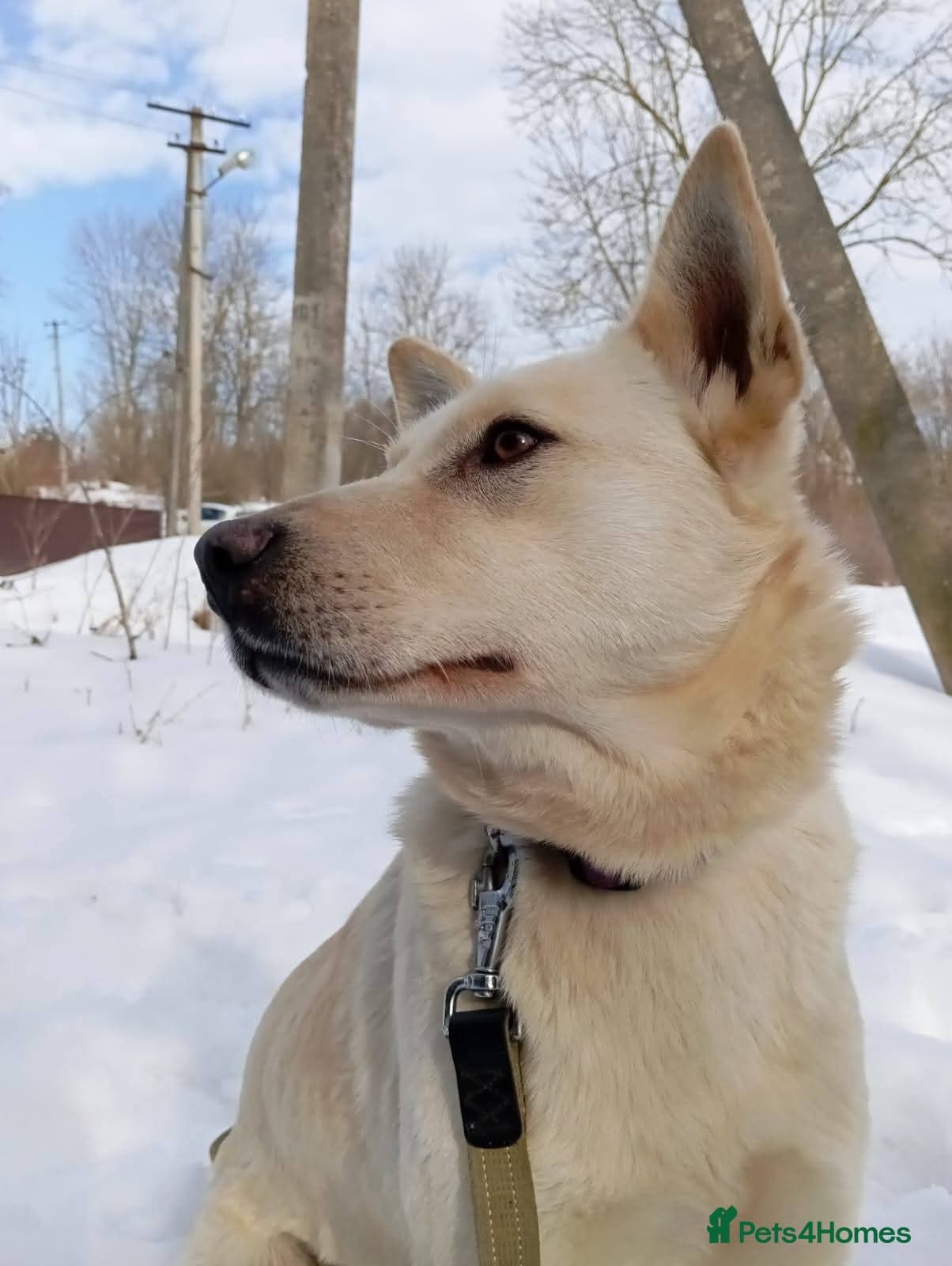 οΈπΆ milady photo 13