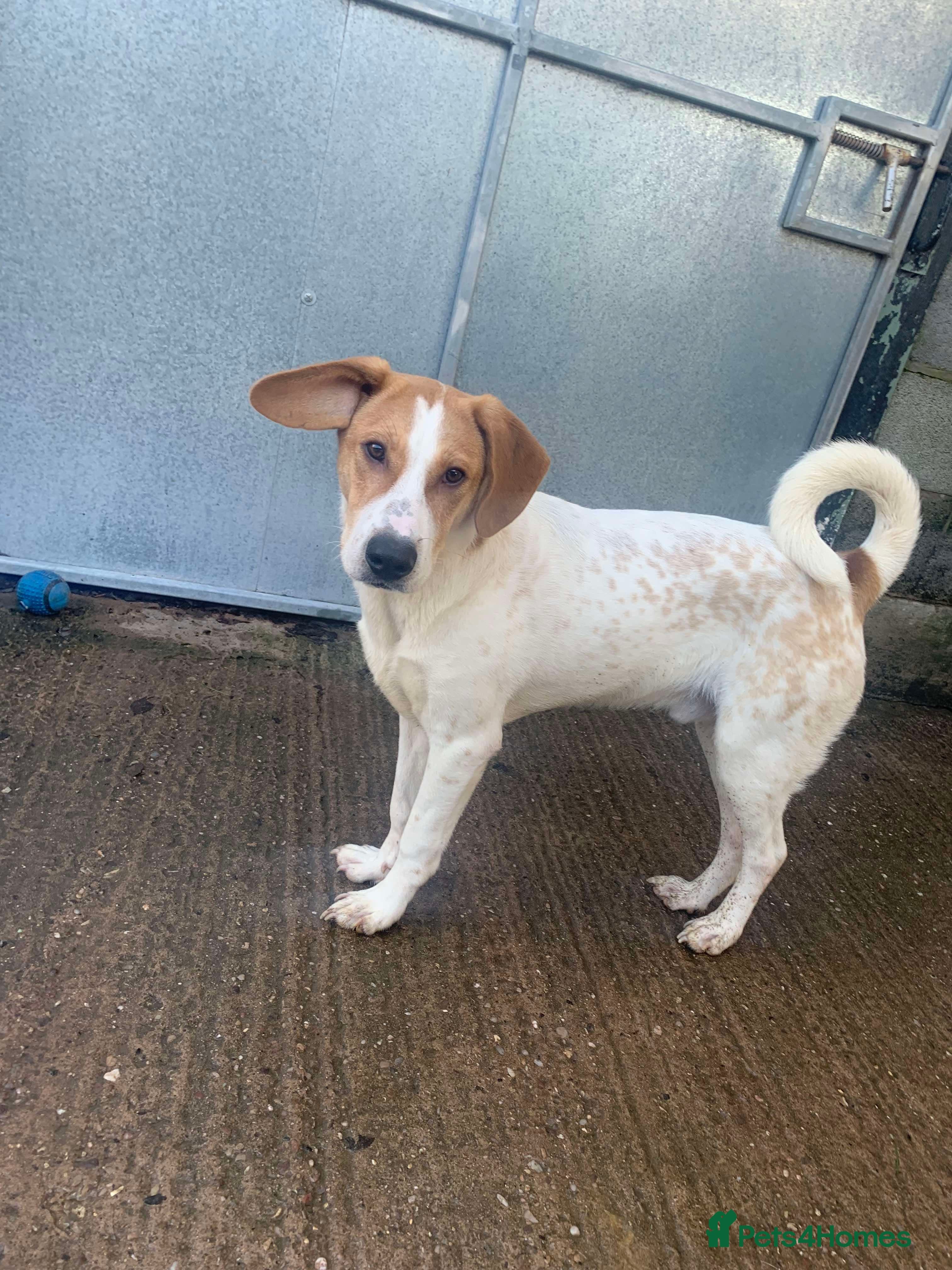 Meet Jordan, currently residing in Cheshire photo 4