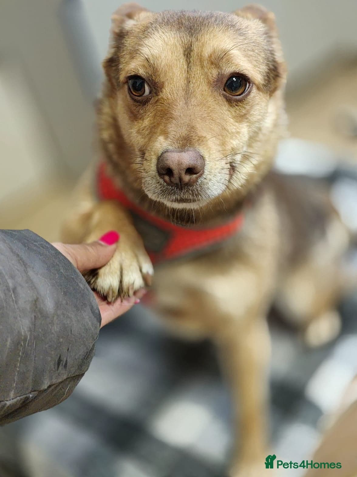 ๏ธ๐ถ rudya photo 7