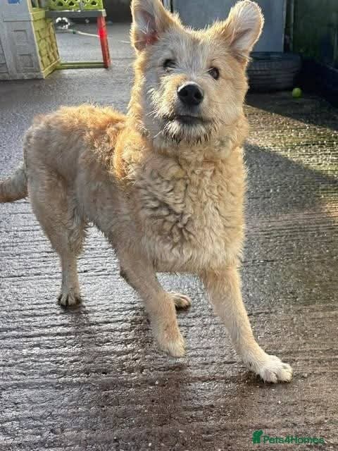 Meet Toby, currently residing in Essex photo 5