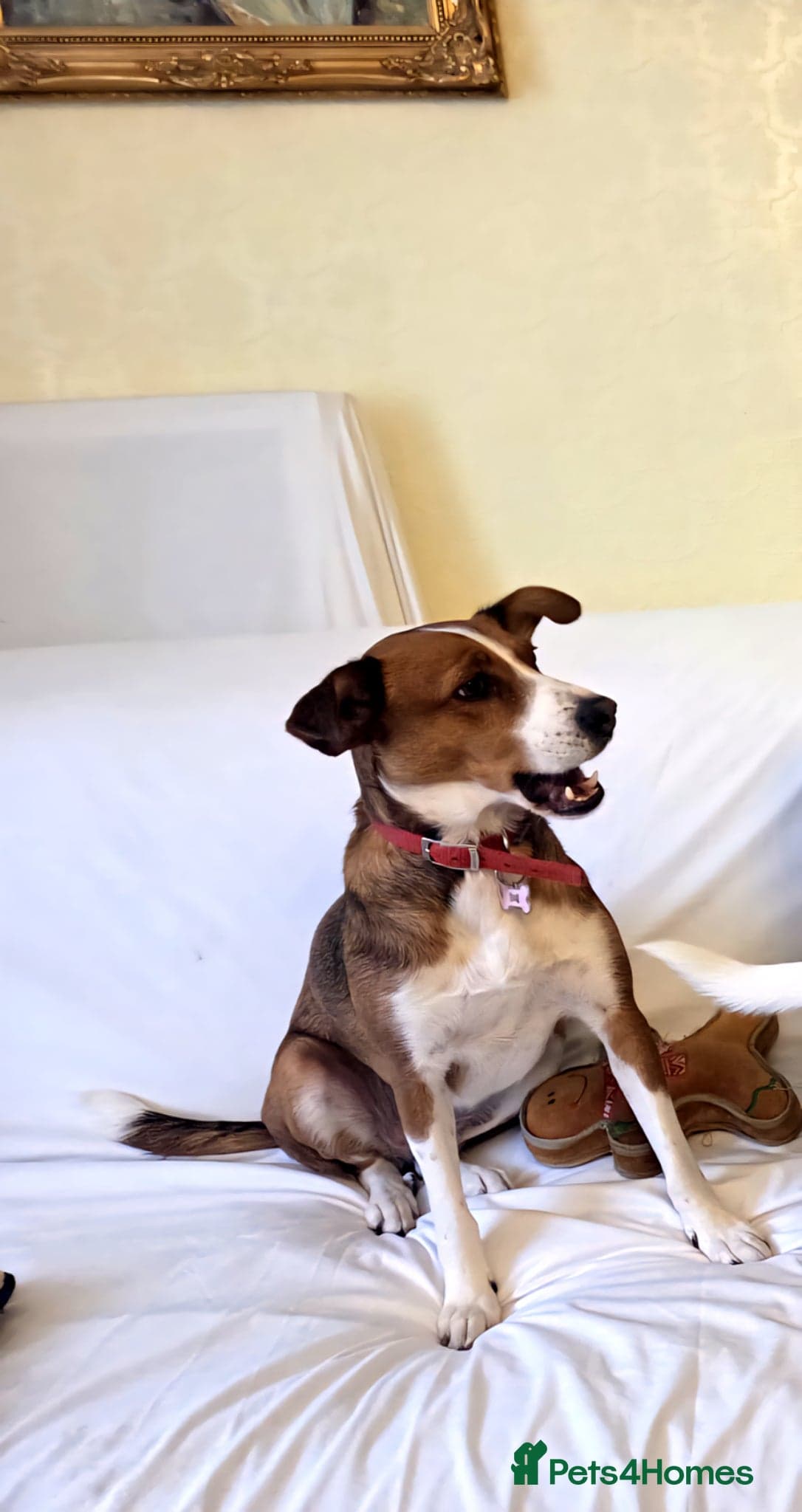 Affectionate Milli photo 4