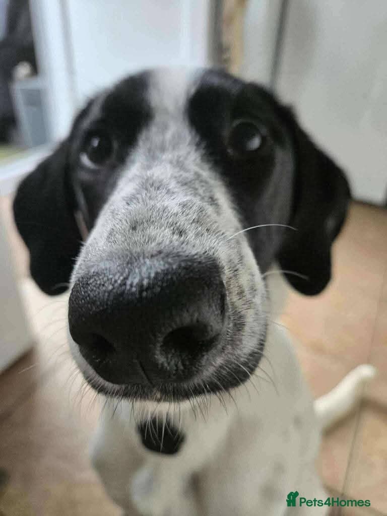 Meet Annabel, currently residing in Hertfordshire photo 5