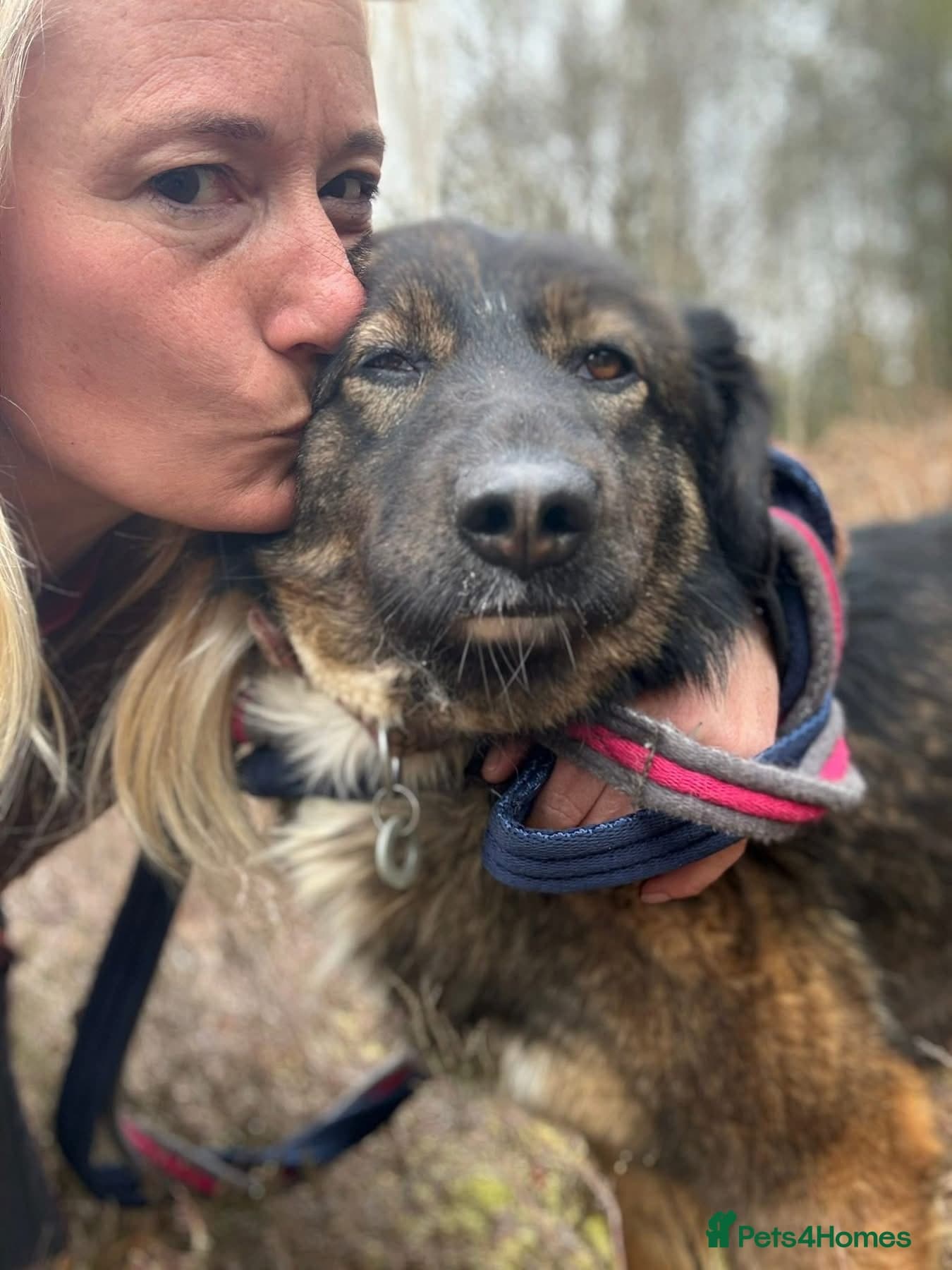 Belle - Norwich Norfolk photo 17