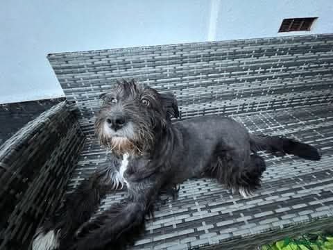 Meet Livi, currently residing in Cheshire photo 7