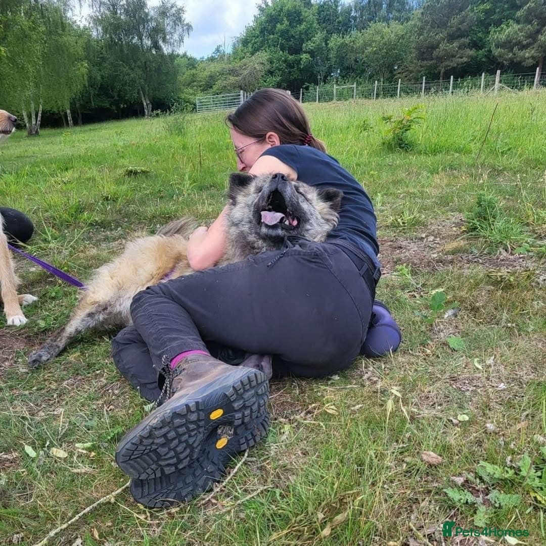 Luna Chow π photo 8