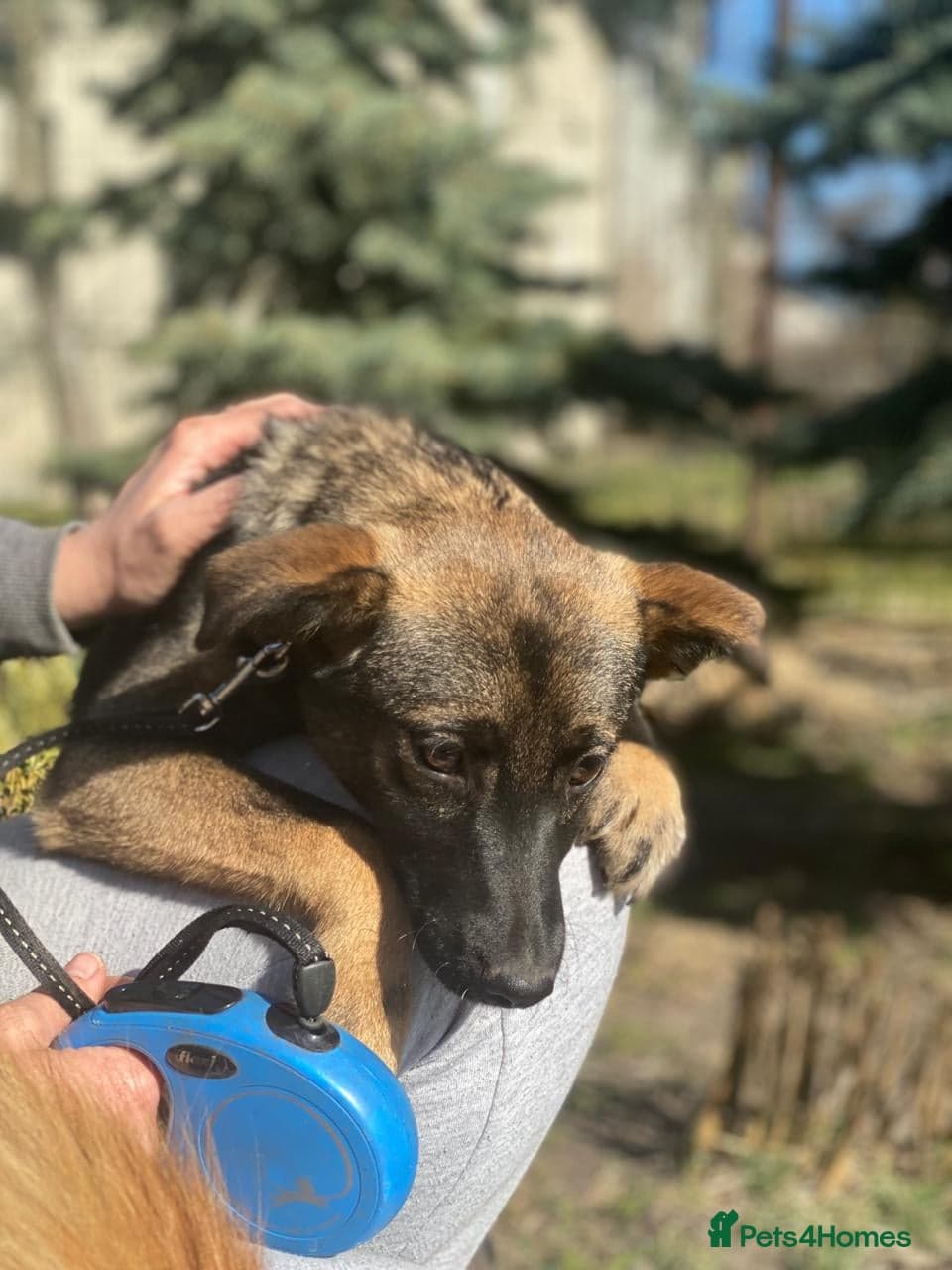 οΈπΆ kuba photo 14