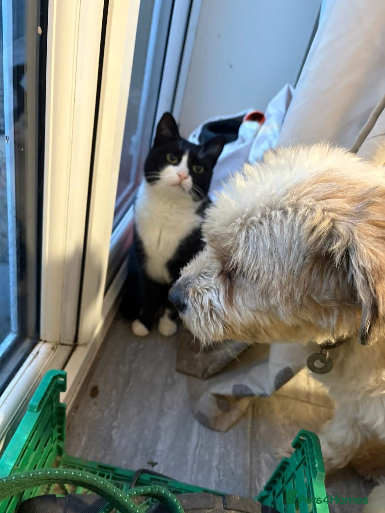 Kim - Norwich Norfolk photo 12