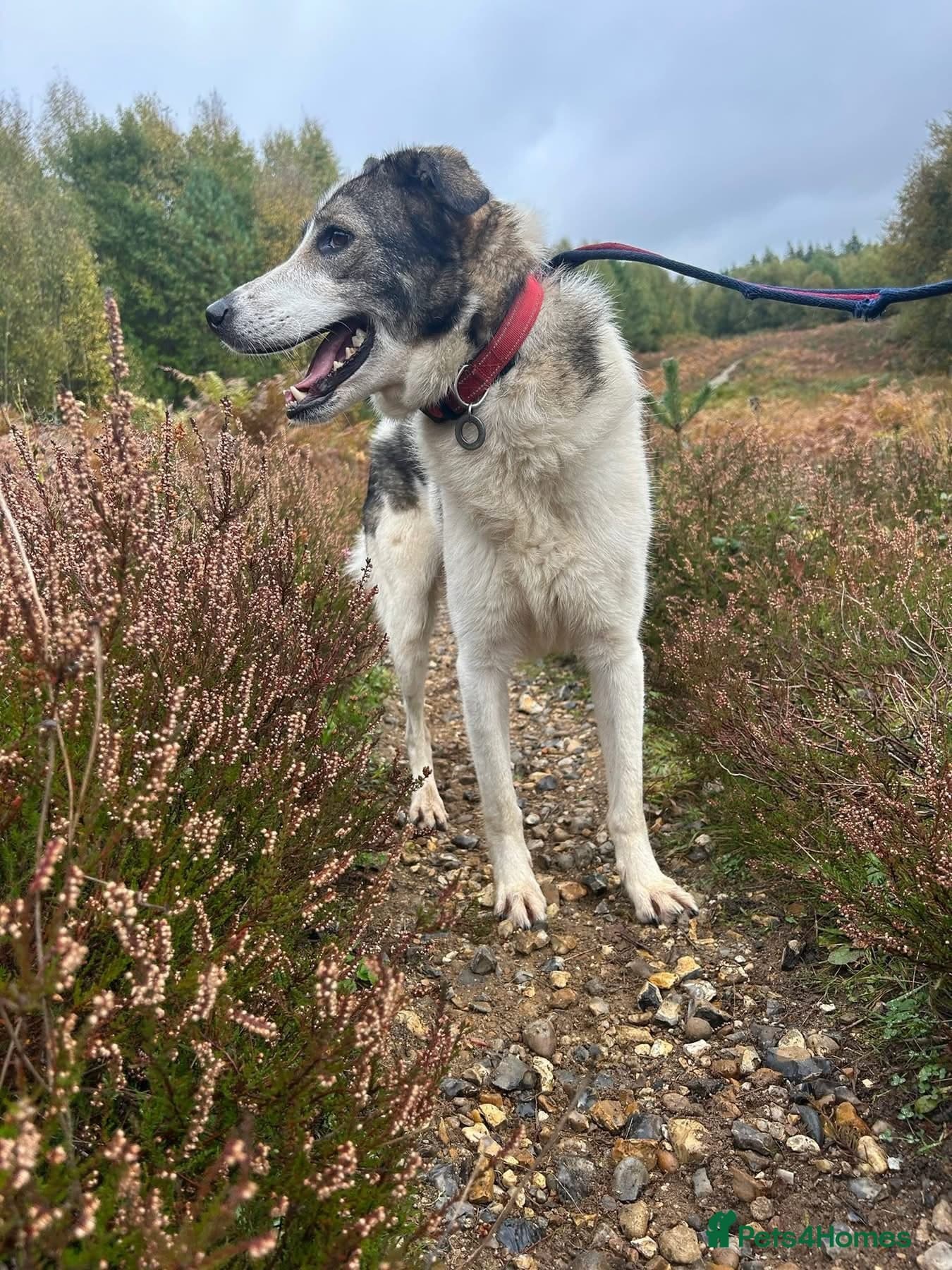 Matteo - Norwich Norfolk photo 7