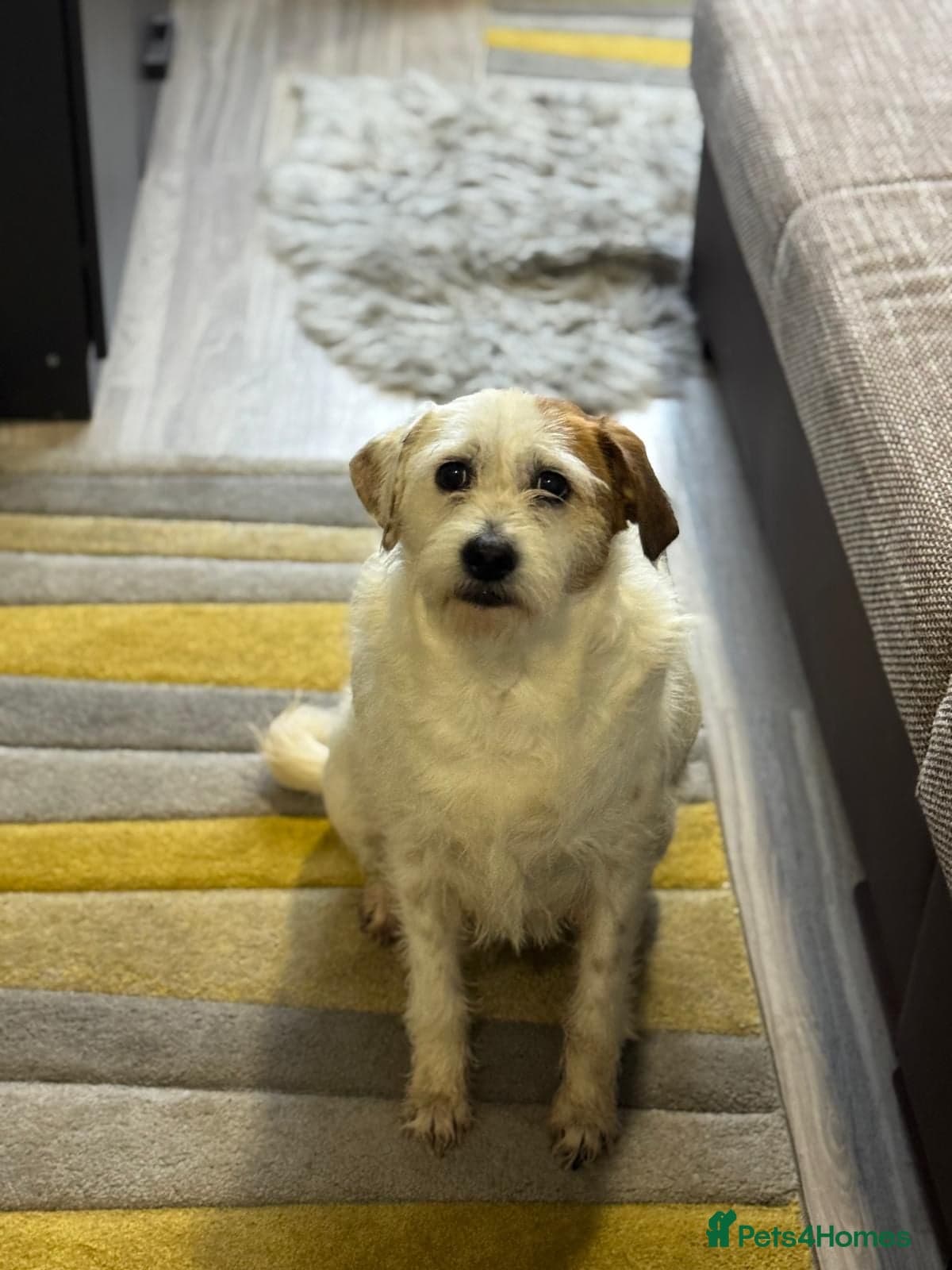 Cute girl Pepsi photo 14