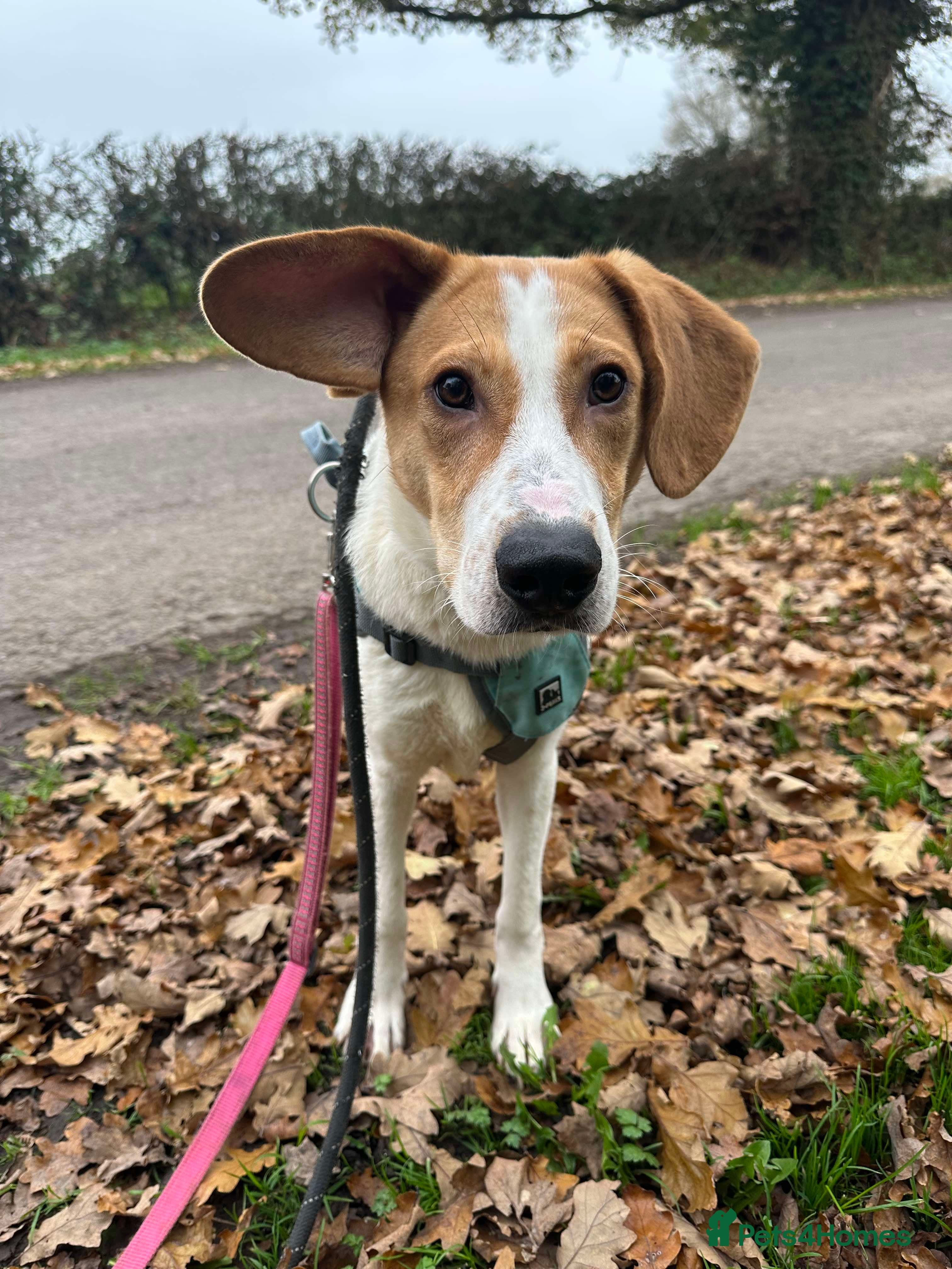 Meet Jordan, currently residing in Cheshire photo 7