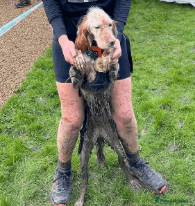 Bonnie (Laila) photo 9