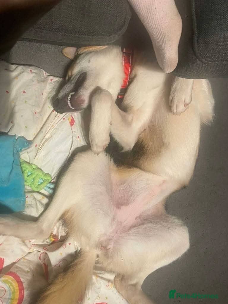 Meet Mary,currently residing in Canterbury photo 4