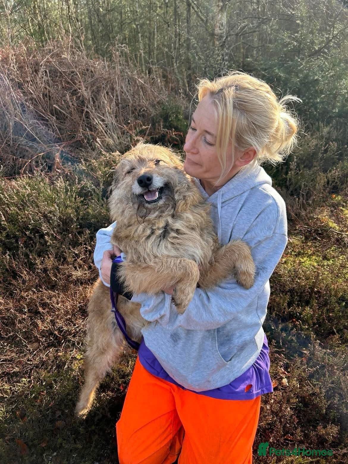 Jack - Watton Norfolk photo 21