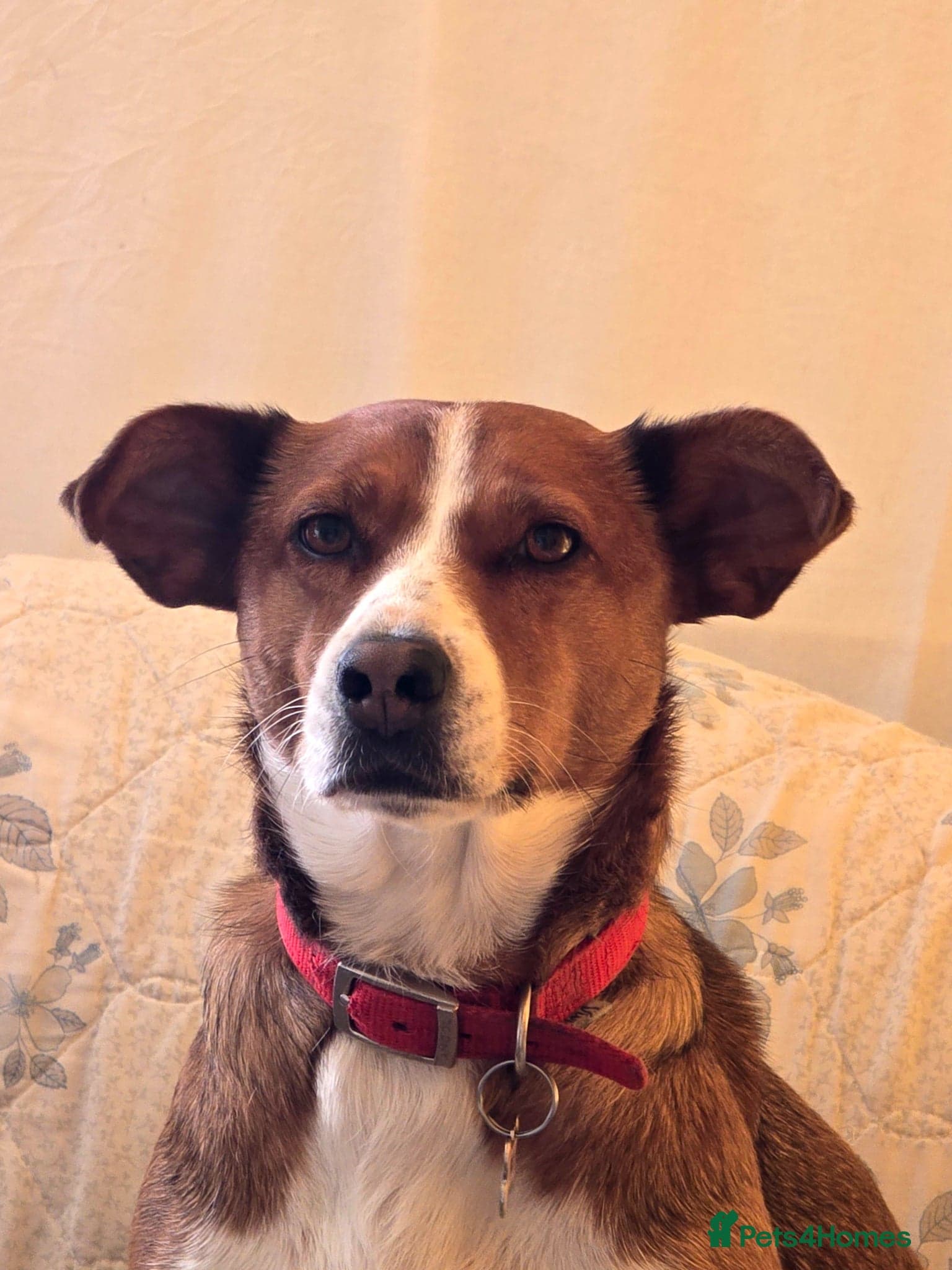 Affectionate Milli photo 6