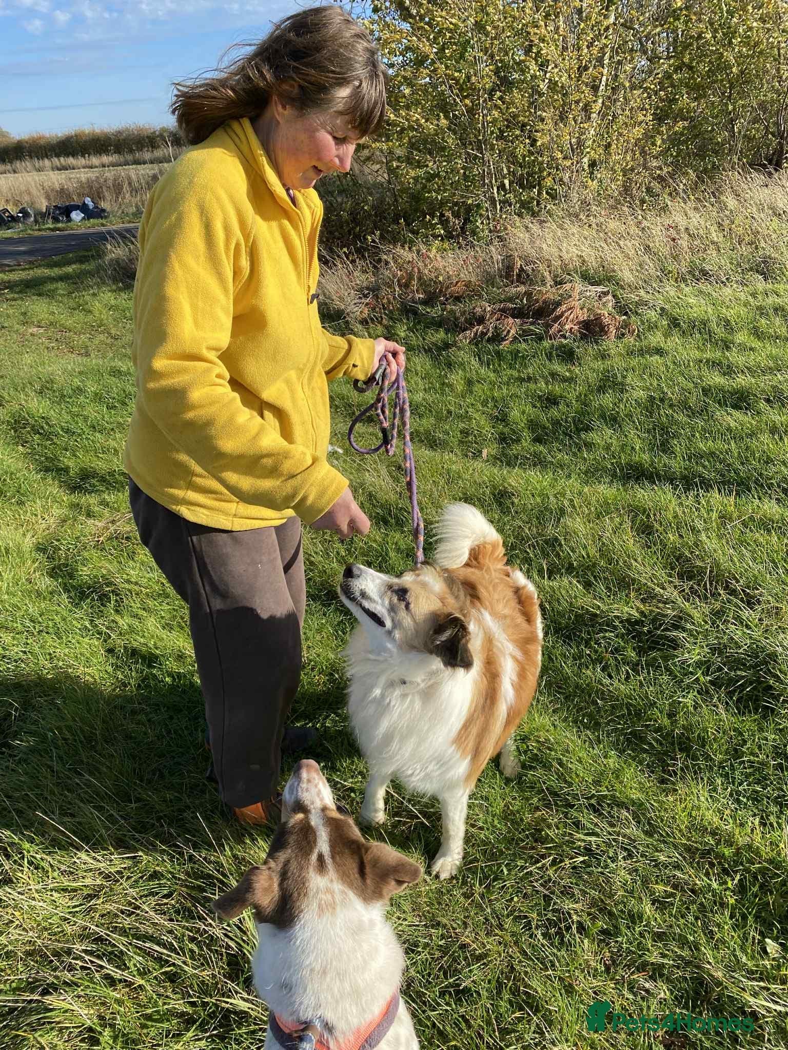 Jessie ❤️ photo 5