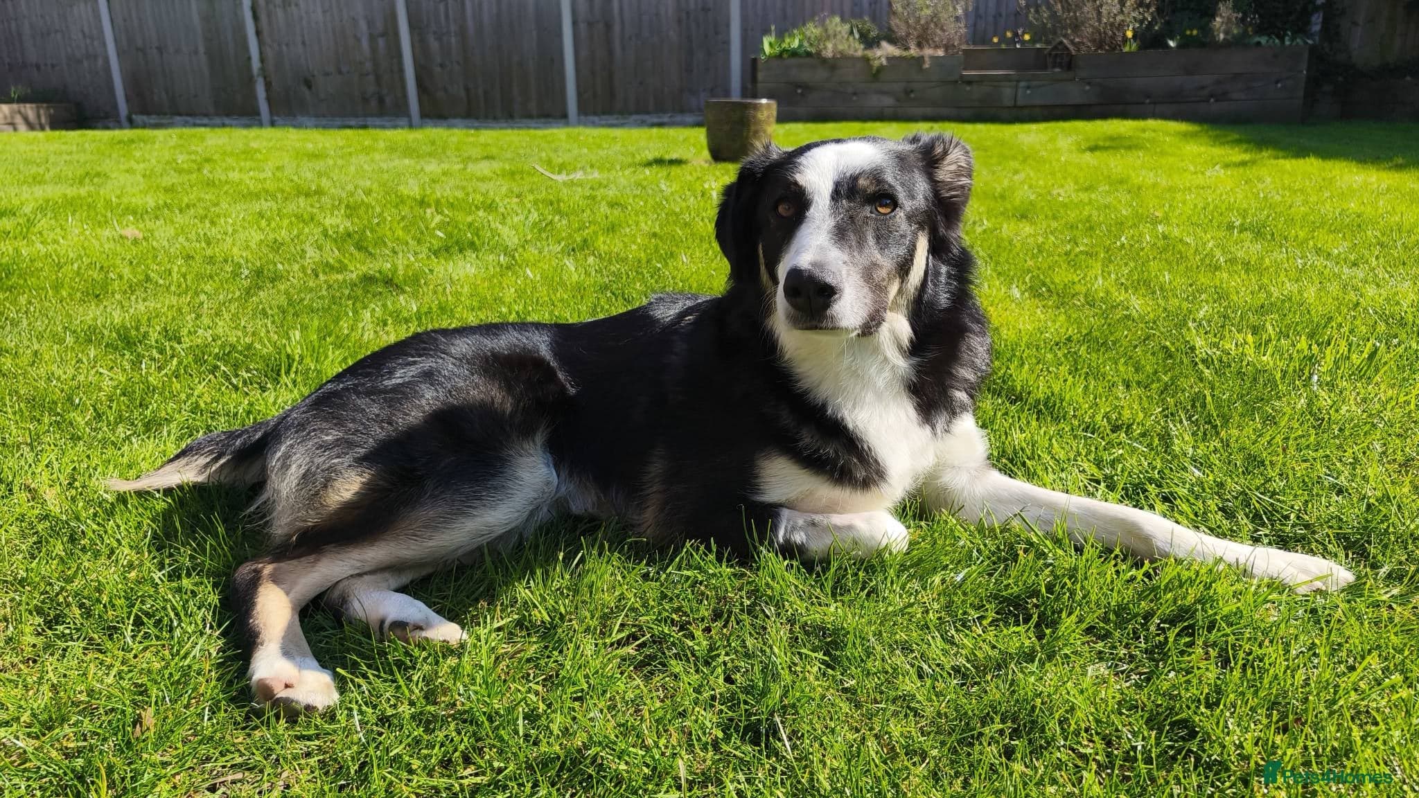 MAXπ Let Down But Still Loving photo 8