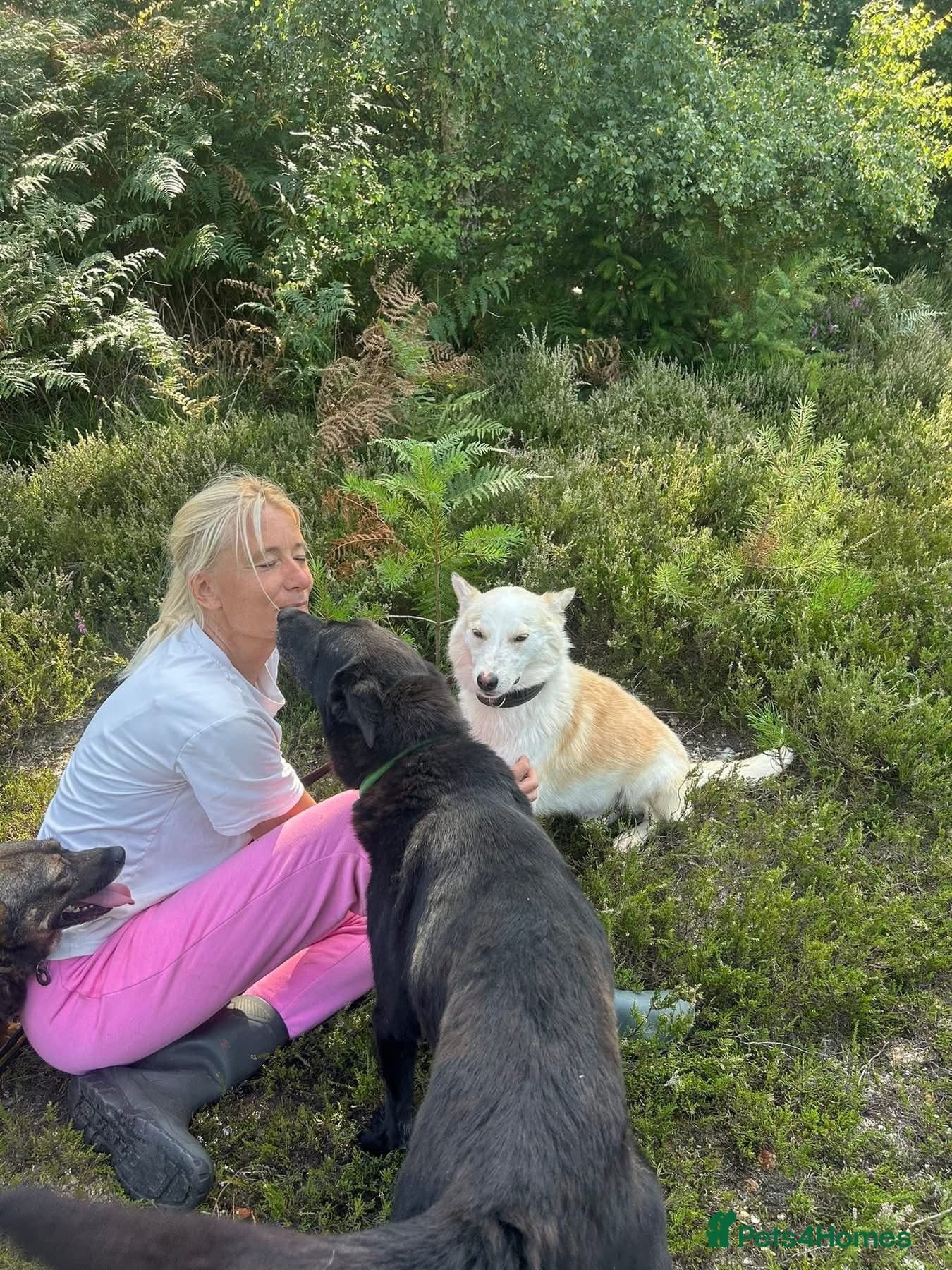 Song - Norwich Norfolk photo 16