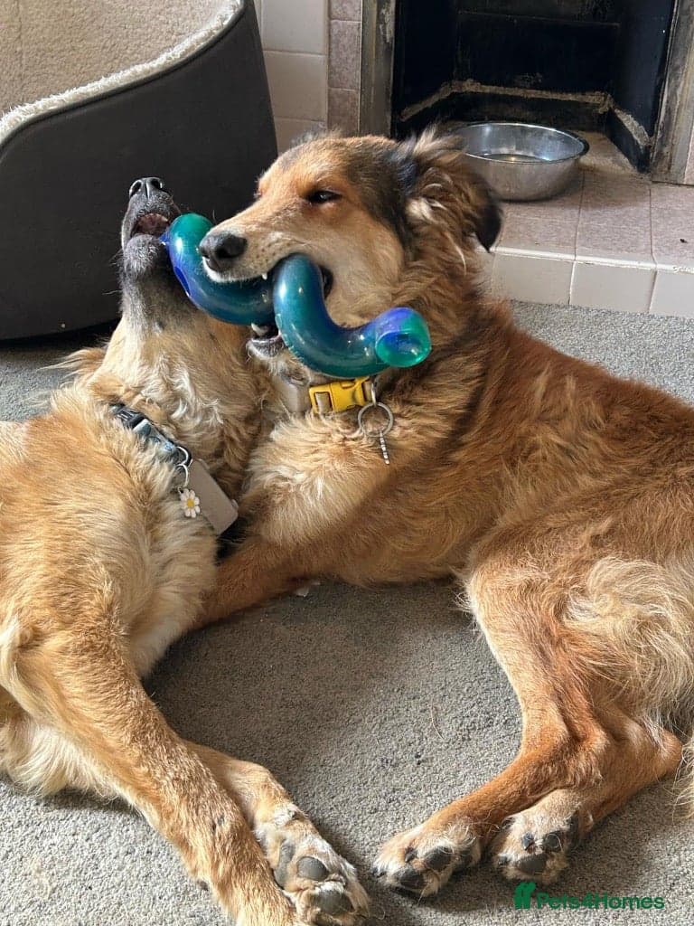 Coffee & robyn photo 16