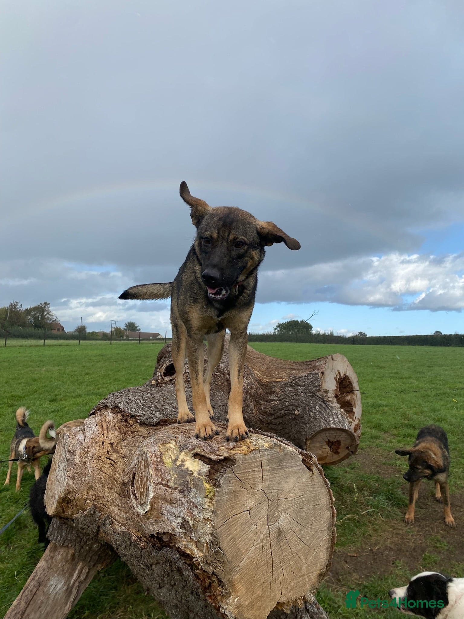 Luna πΎπ photo 14