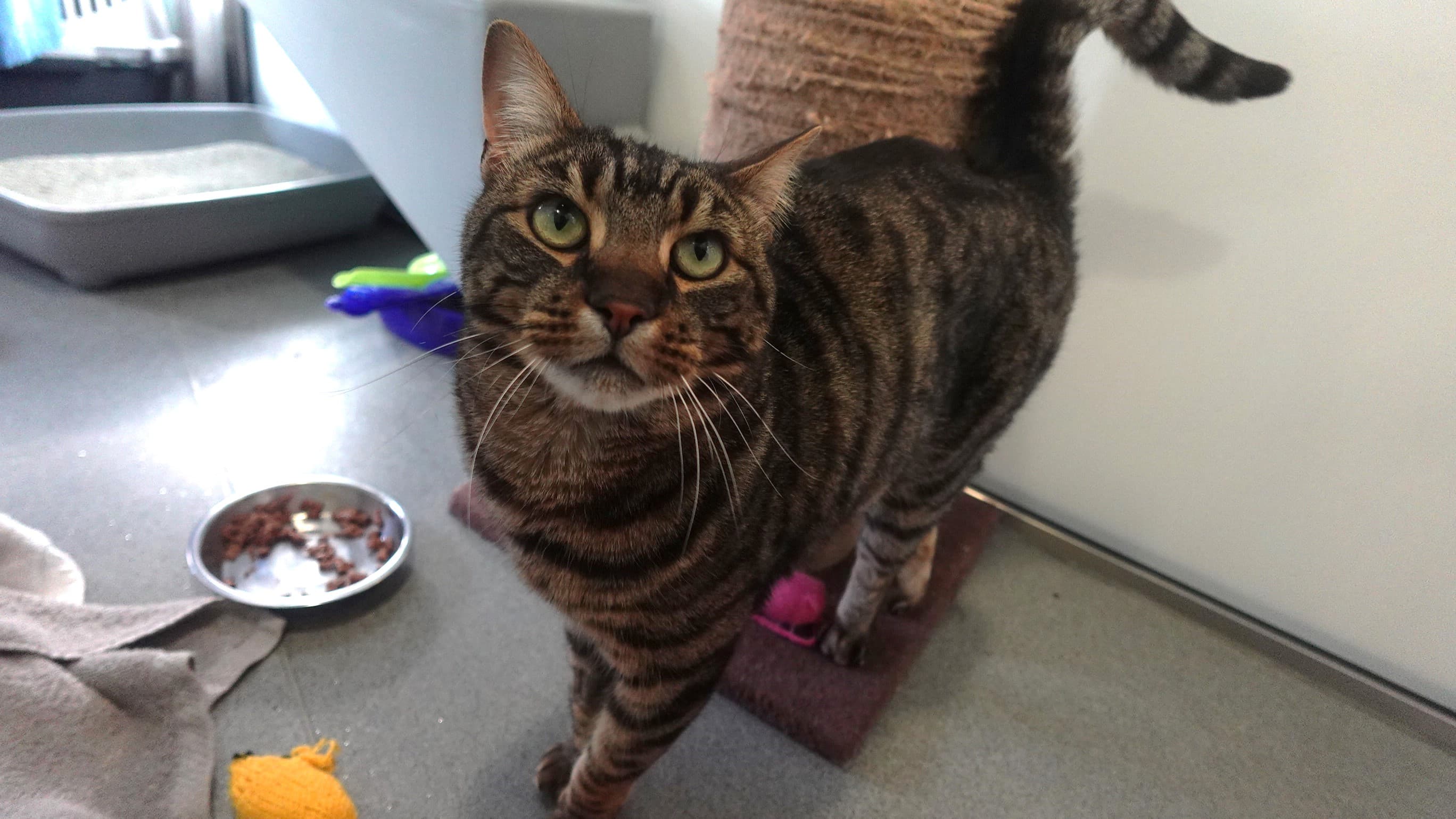 Berlioz basquicat photo 2