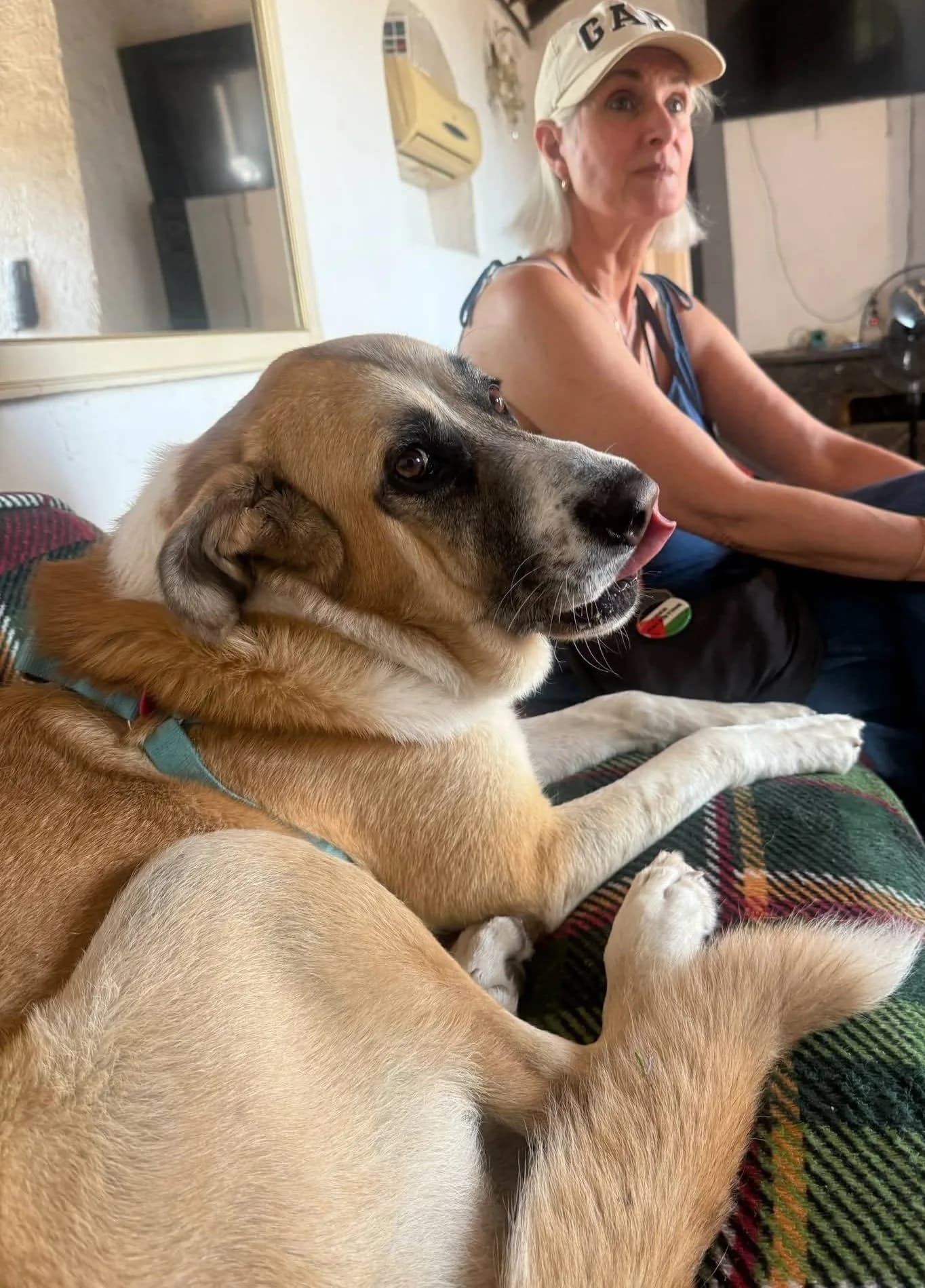 Faith — Spanish Mastin Cross