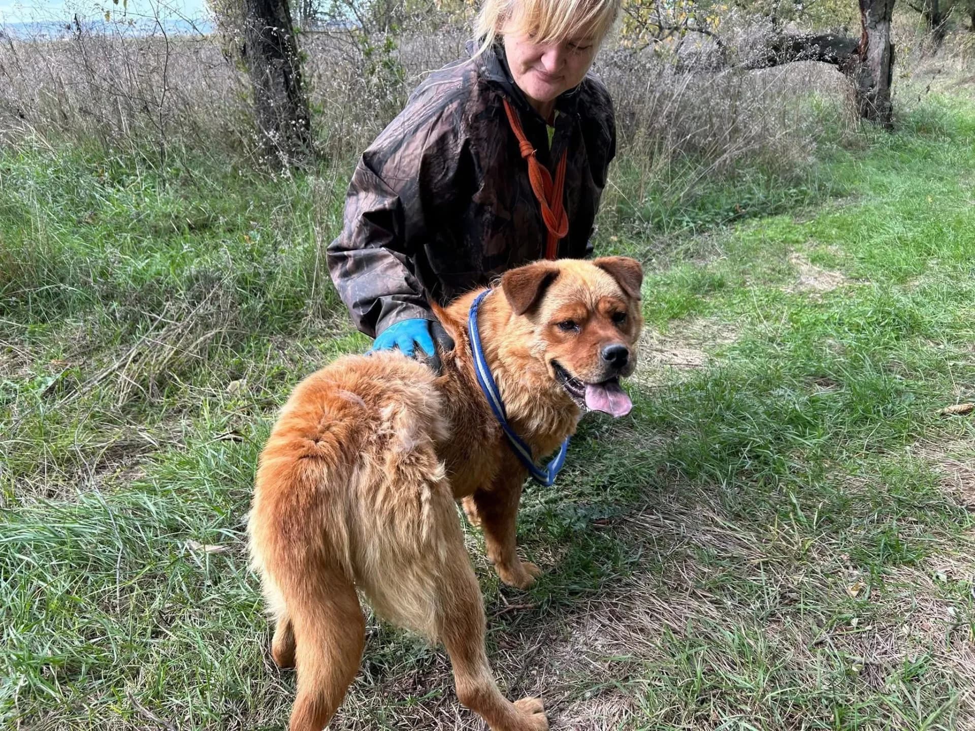 Princess — Chow Chow Cross