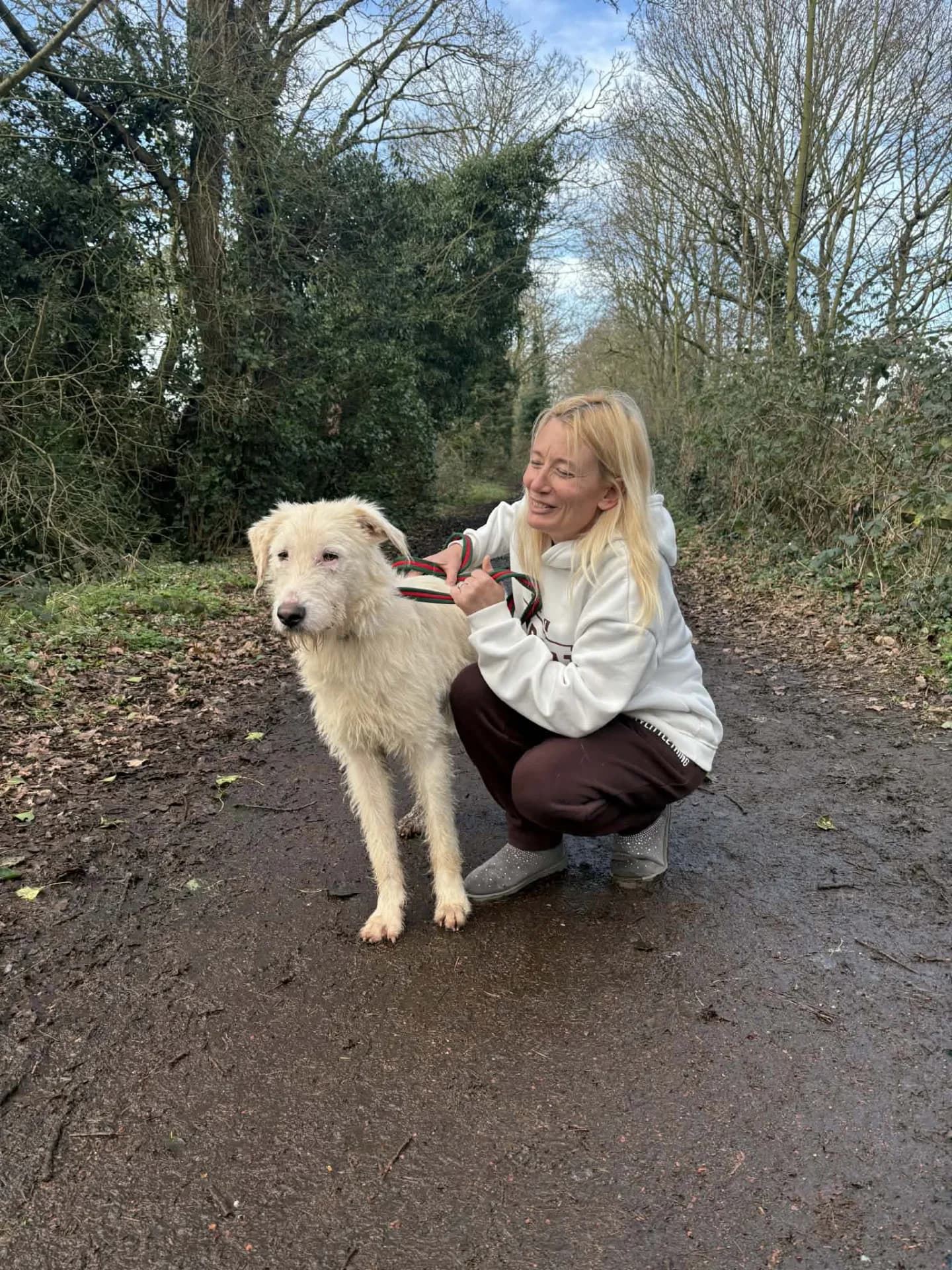 Peter — Cross-breed