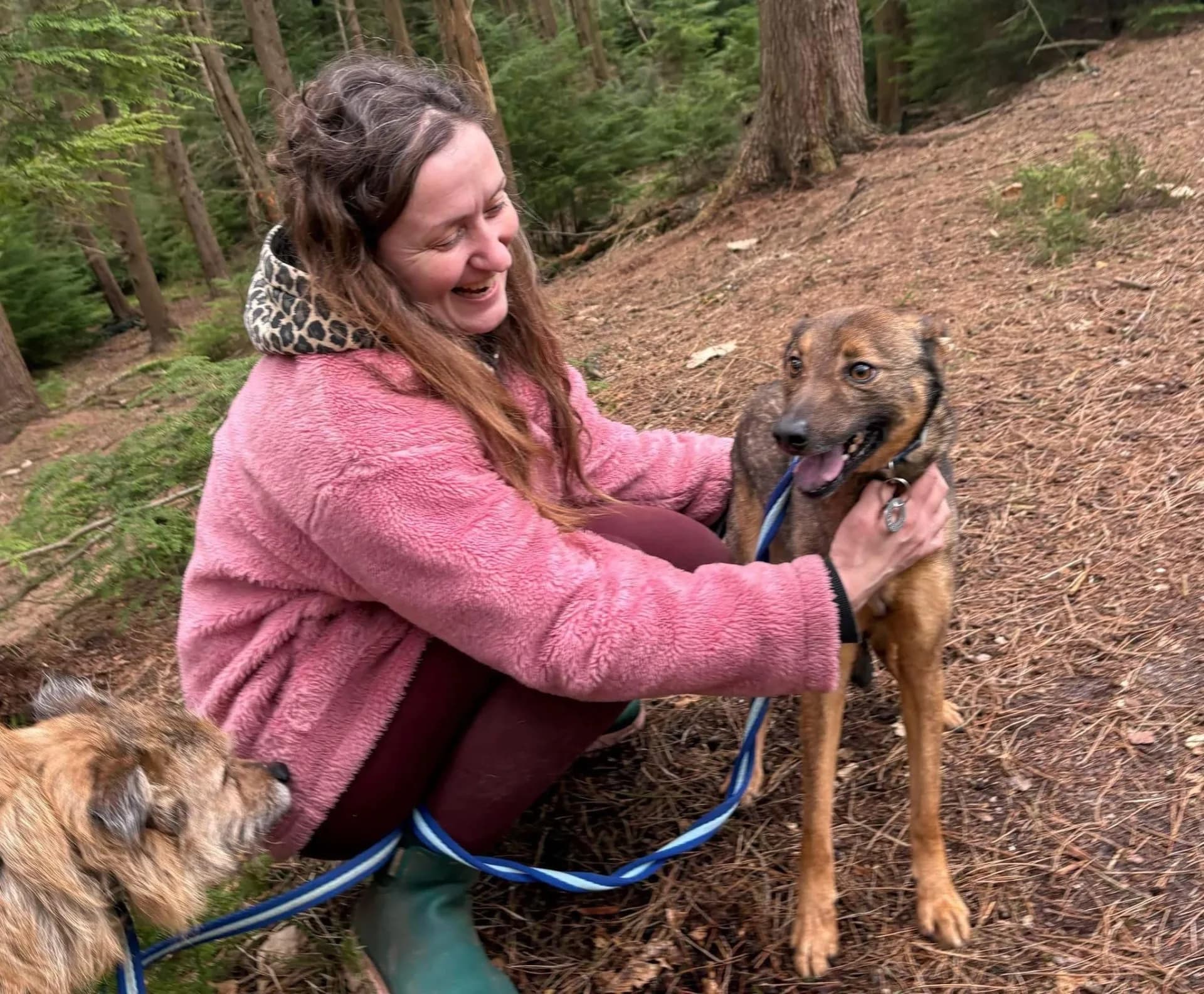 Figgy — Cross-breed